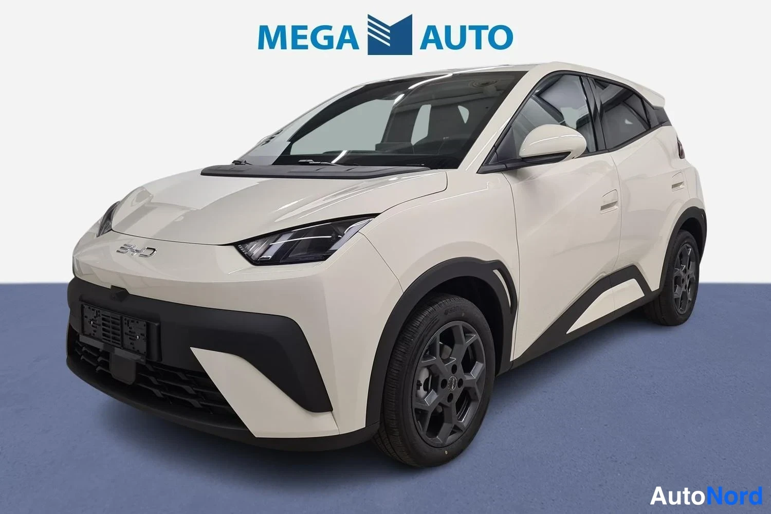BYD Dolphin Surf Comfort 2025