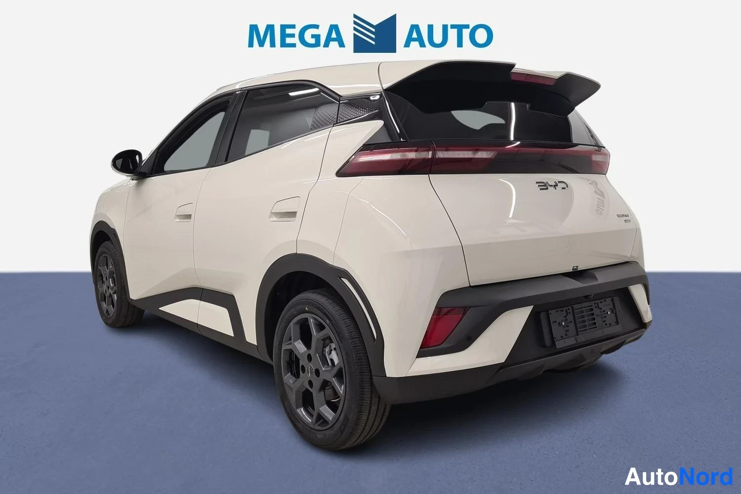 Valkoinen BYD Dolphin Surf 2025, takaviisto, kuva 3
