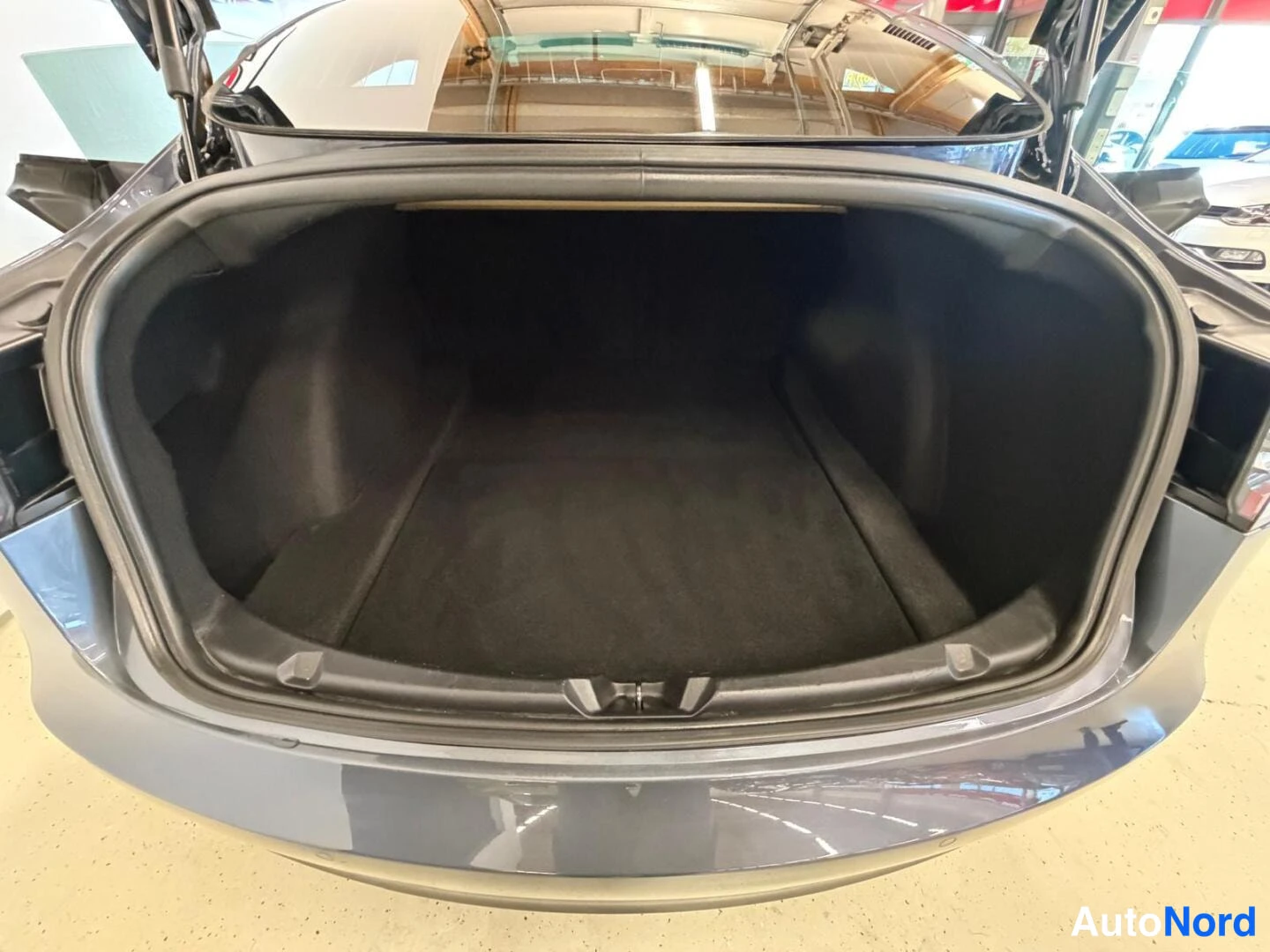 Grey Tesla Model 3 2020, rear, photo 9