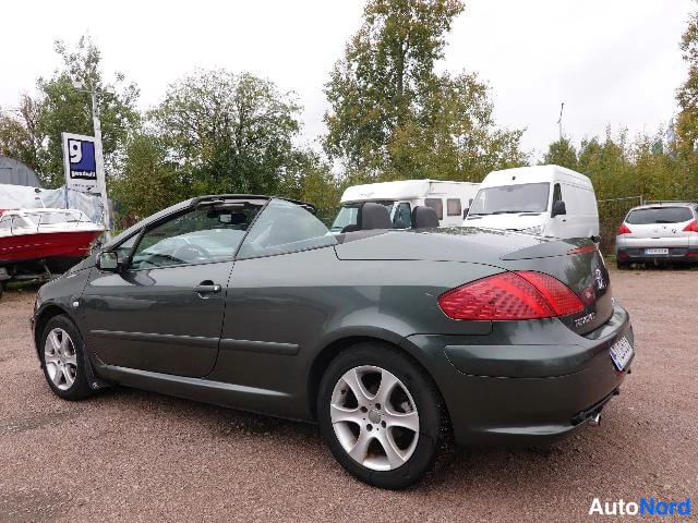 Vihreä Peugeot 307 2004, takaviisto, kuva 13