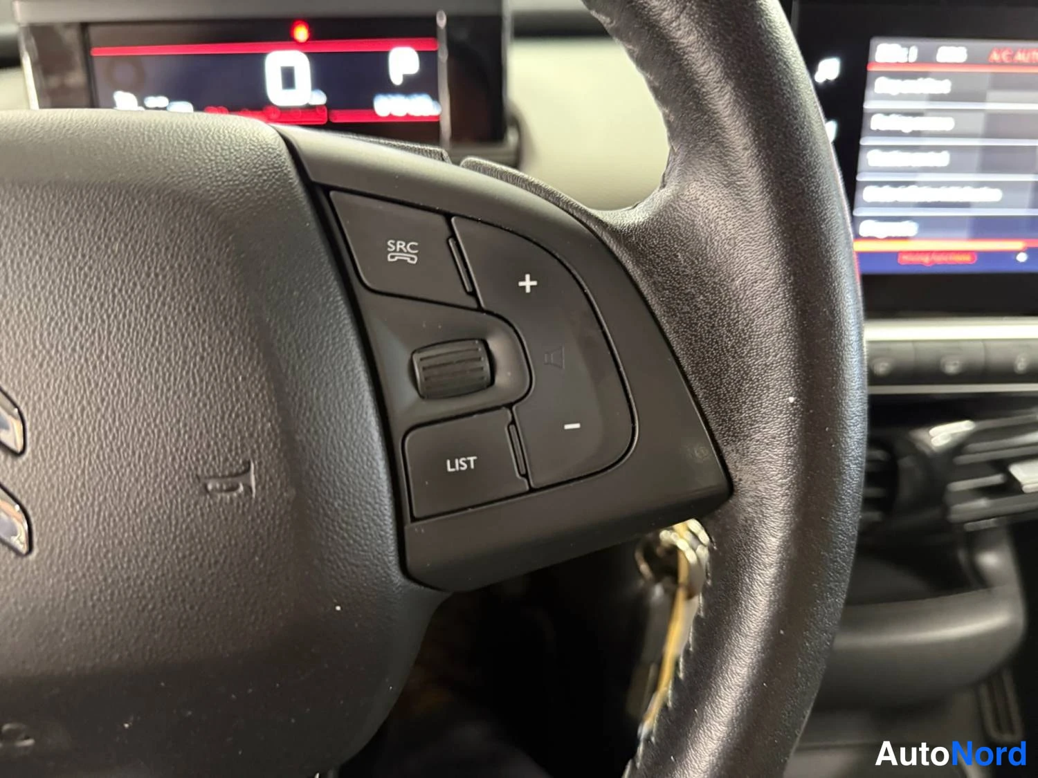 Harmaa Citroen C4 cactus 2020, kuva 26