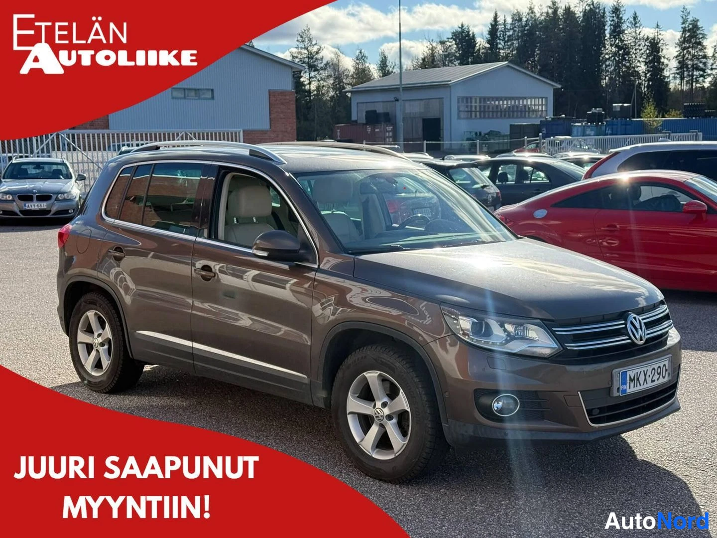 Ruskea Volkswagen Tiguan 2012, etuviisto, keula oikealle, kuva 2