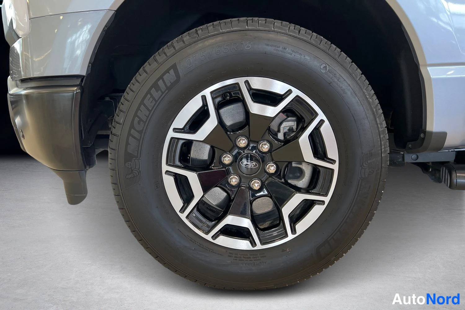 Hopea Ford F-150 2023, yksityiskohta, kuva 15