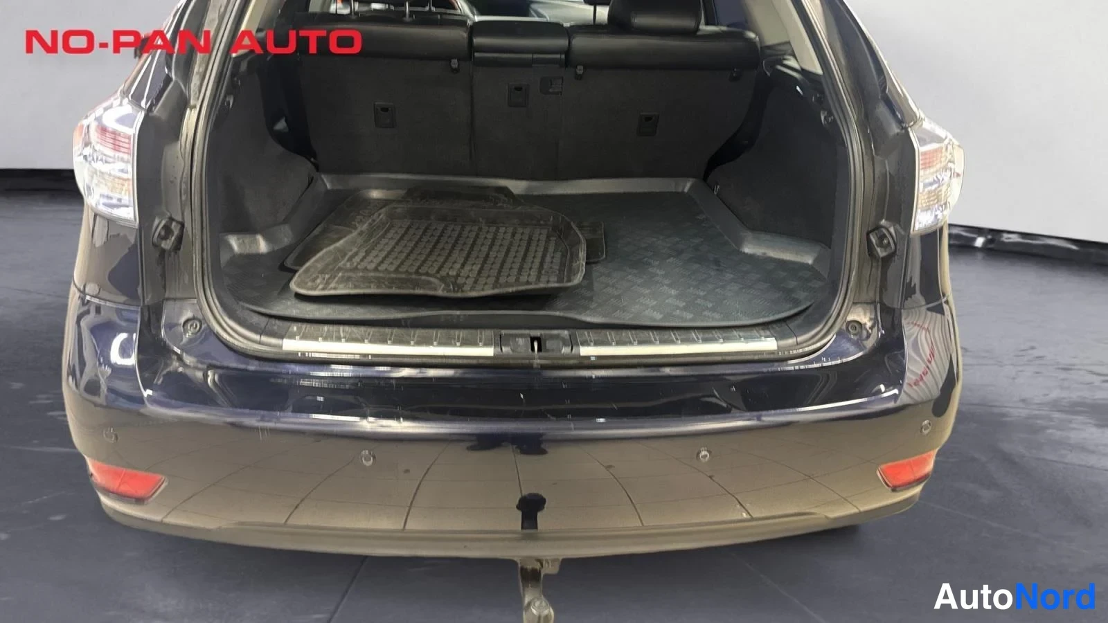 Sininen Lexus RX 450h 2009, takaa, kuva 9
