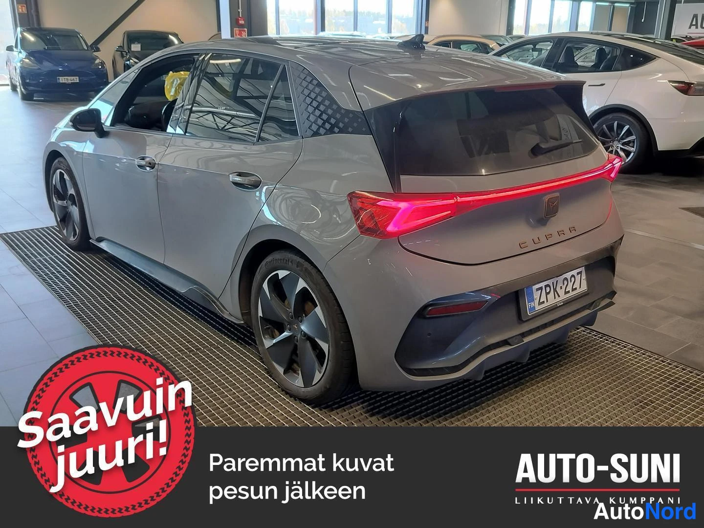 Harmaa Cupra Born 2023, takaviisto, kuva 3