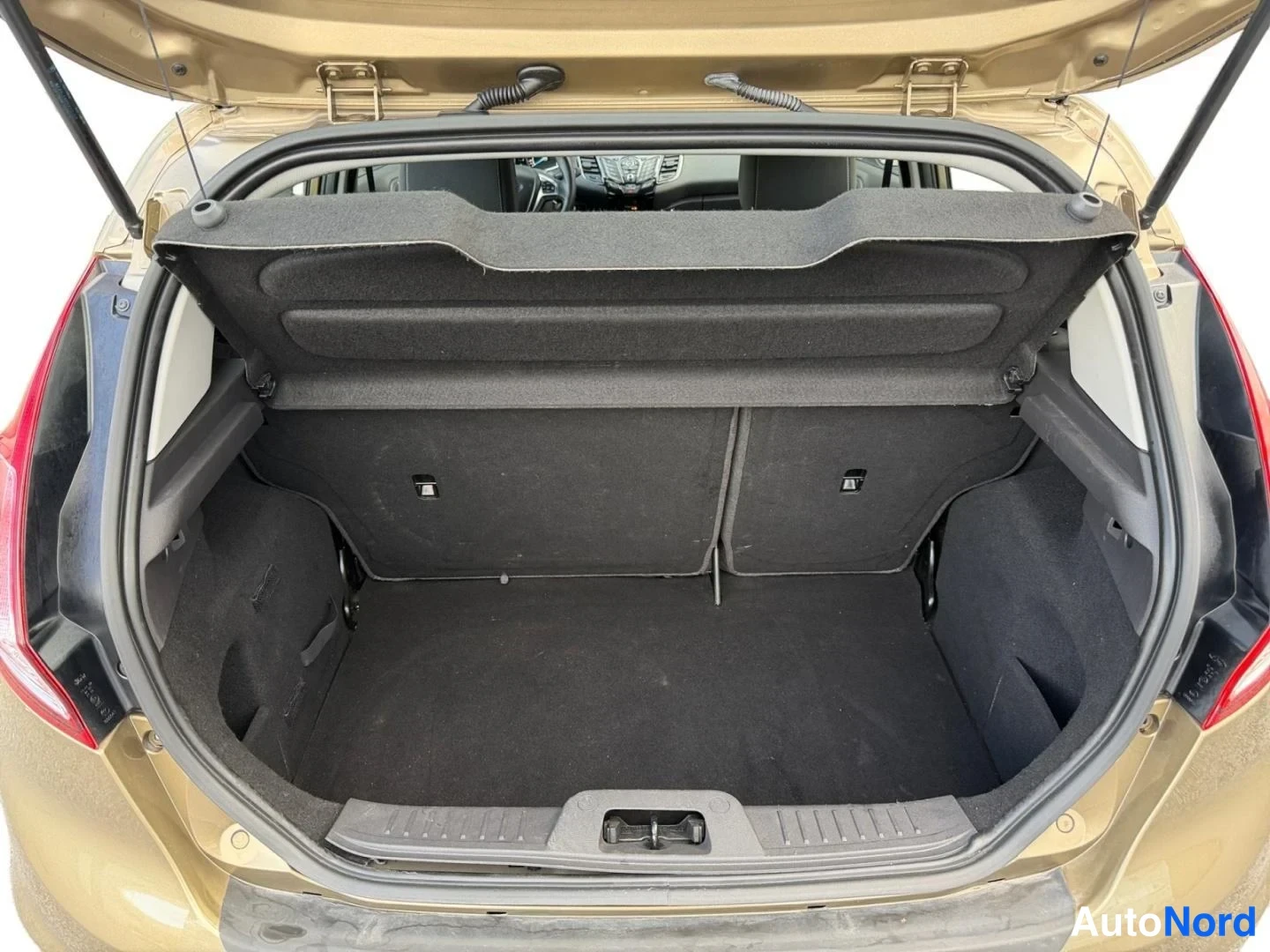 Beige Ford Fiesta 2015, takaa, kuva 13