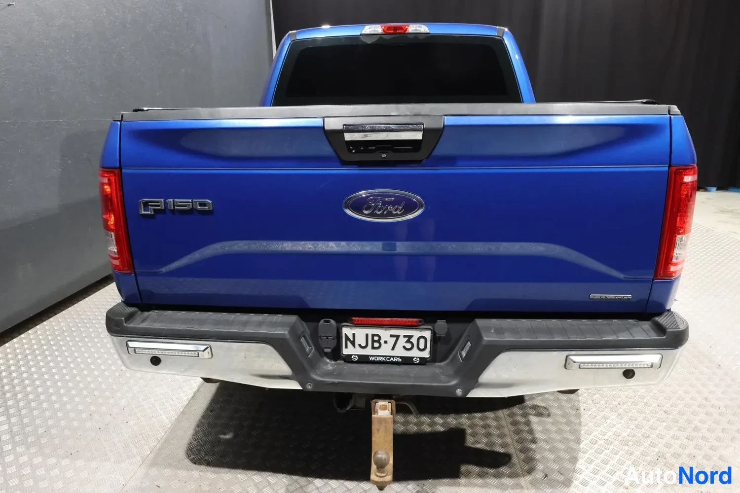 Sininen Ford F-150 2017, takaa, kuva 11
