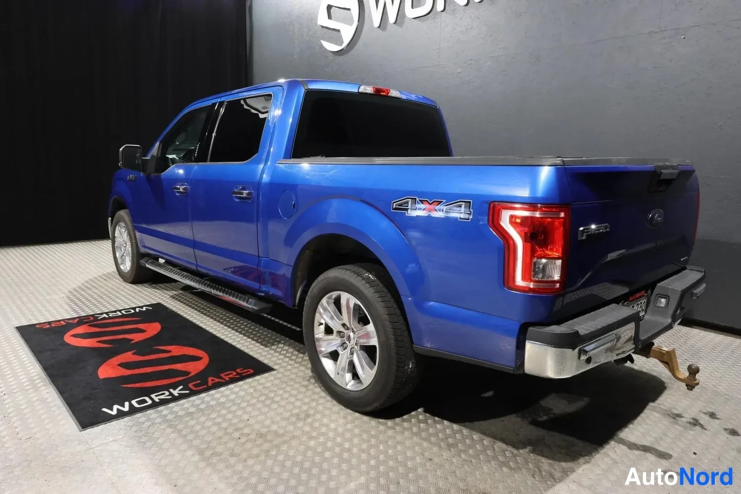 Sininen Ford F-150 2017, takaviisto, kuva 9