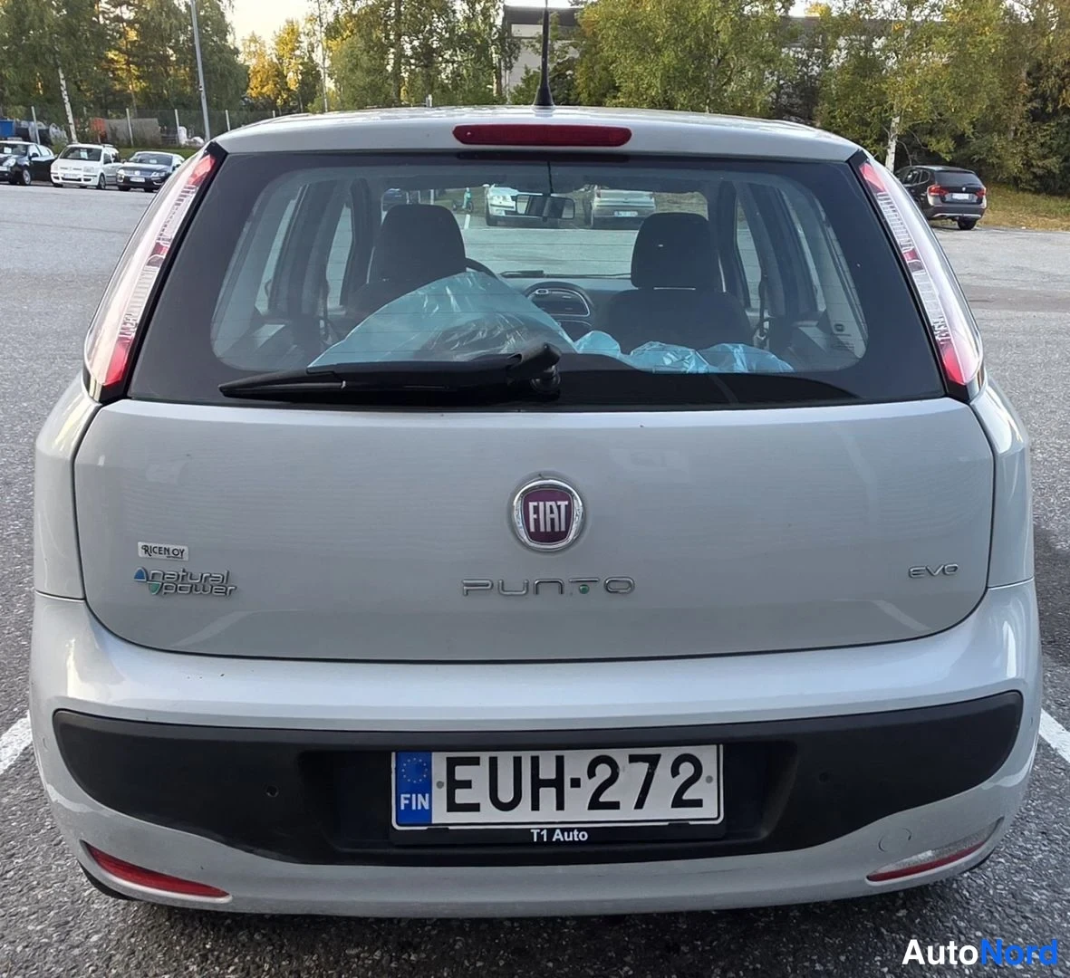 Harmaa Fiat Punto Evo 2011, takaa, kuva 15