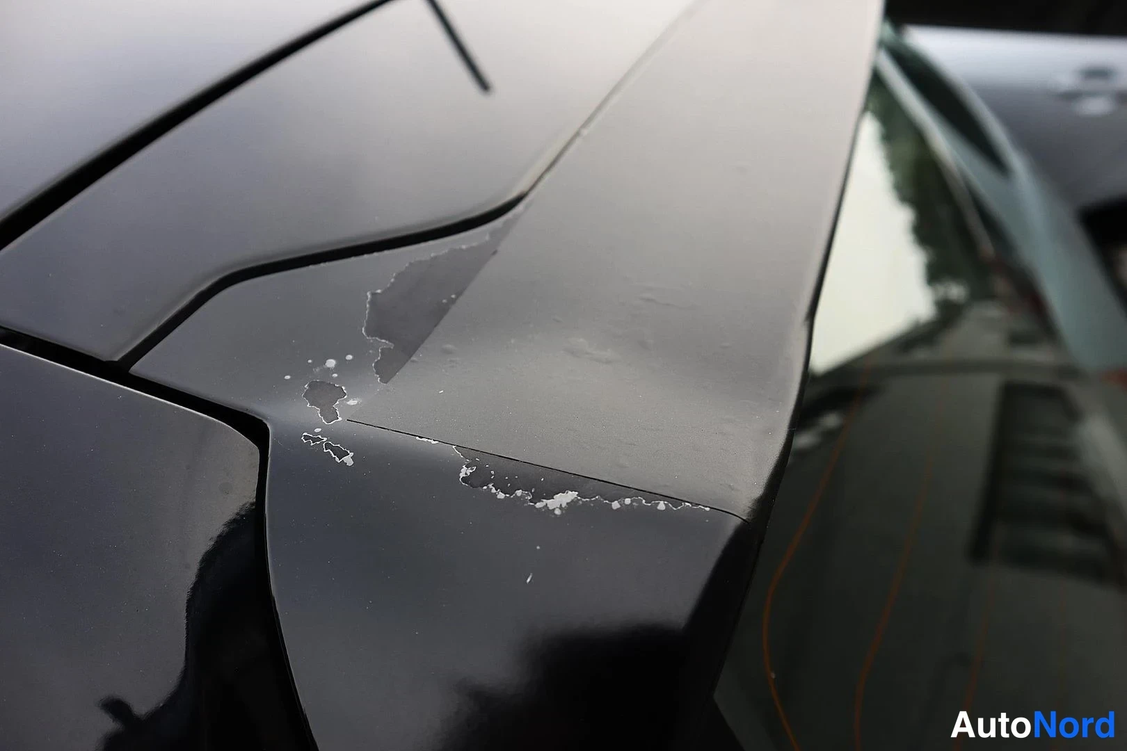 Black Honda Civic 2002, detail, photo 11