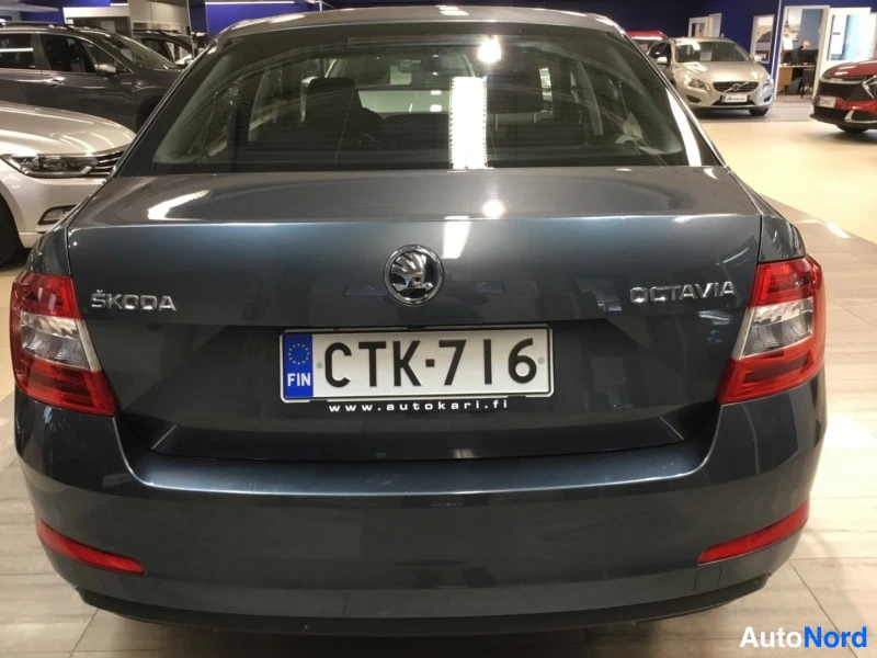 Harmaa Skoda Octavia 2015, takaa, kuva 6
