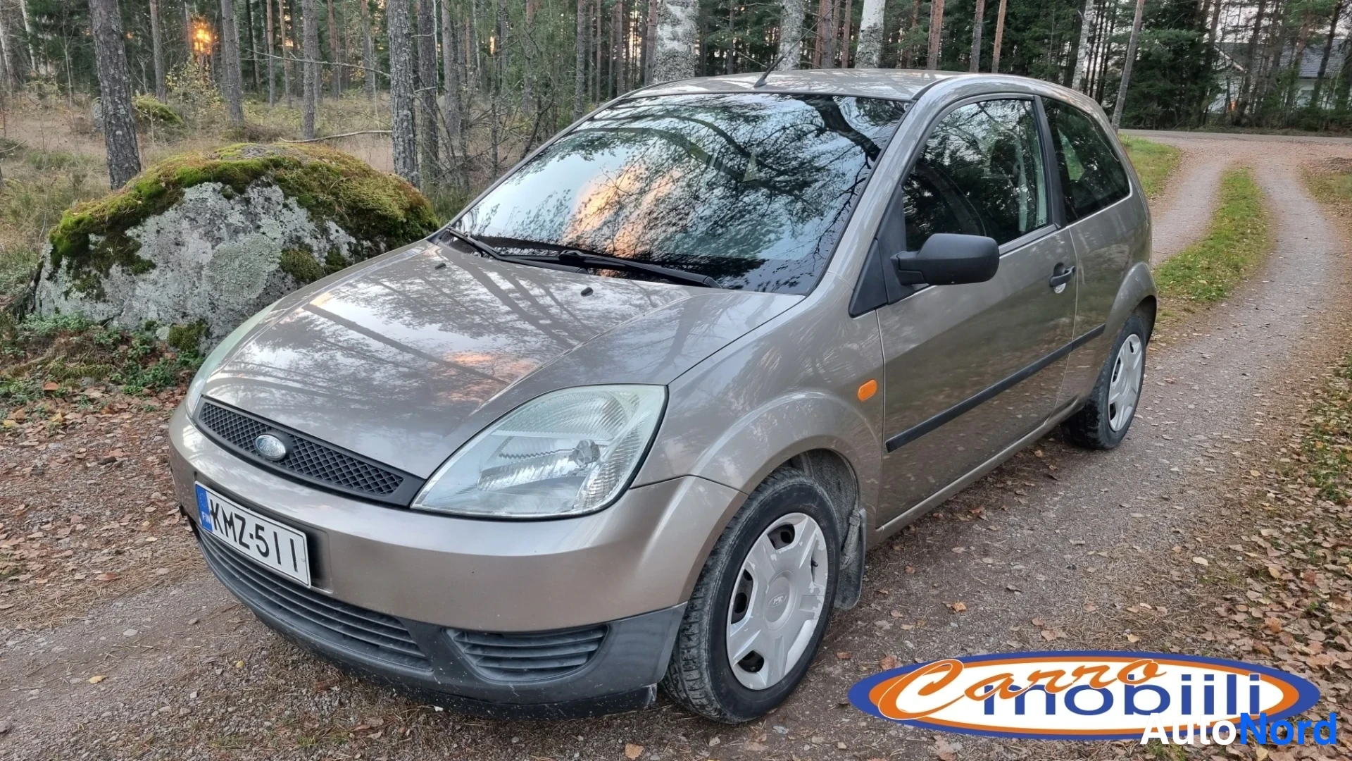 Ford Fiesta 1,3i Ambiente S 2004