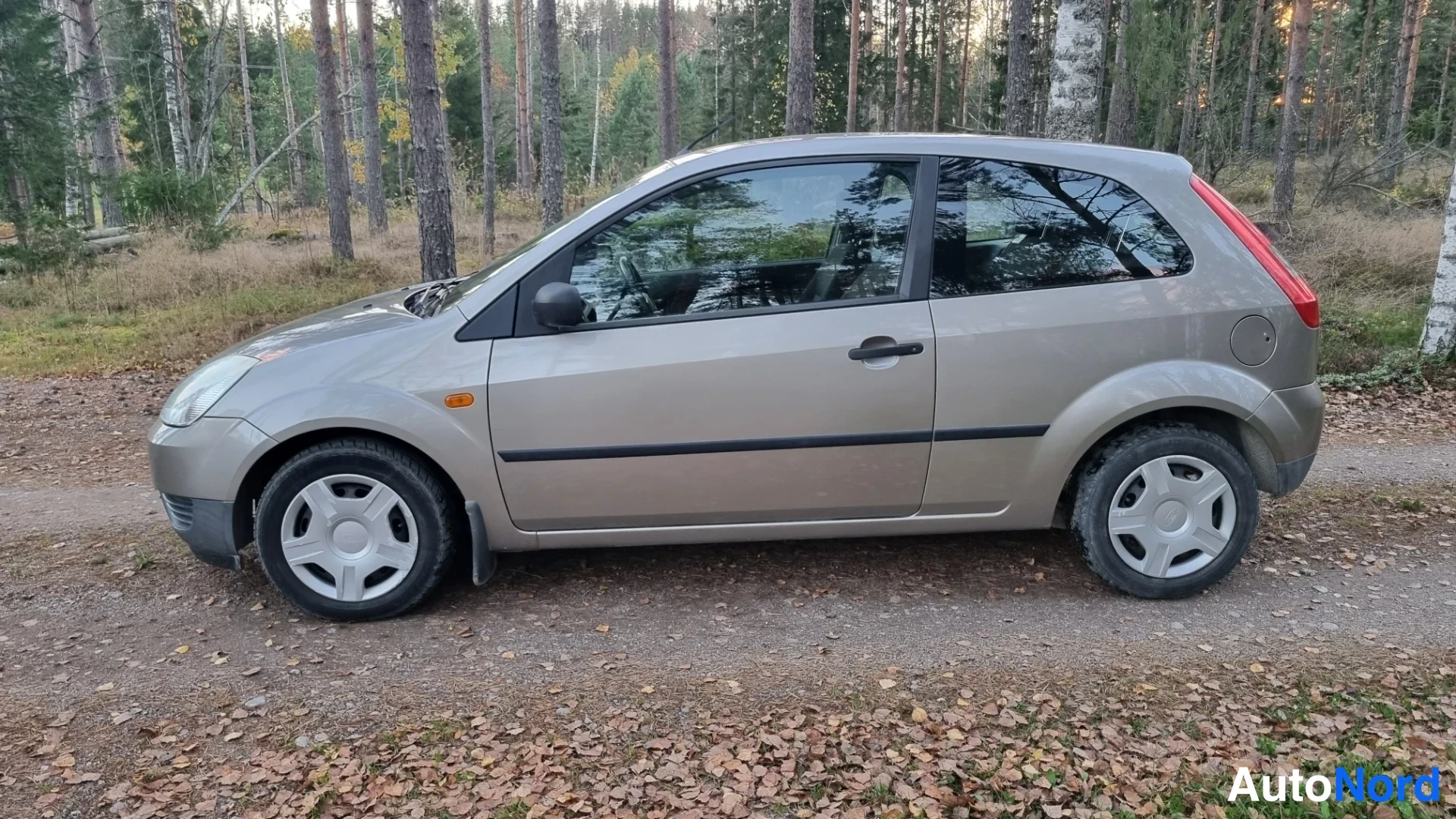 Harmaa Ford Fiesta 2004, sivulta, kuva 4
