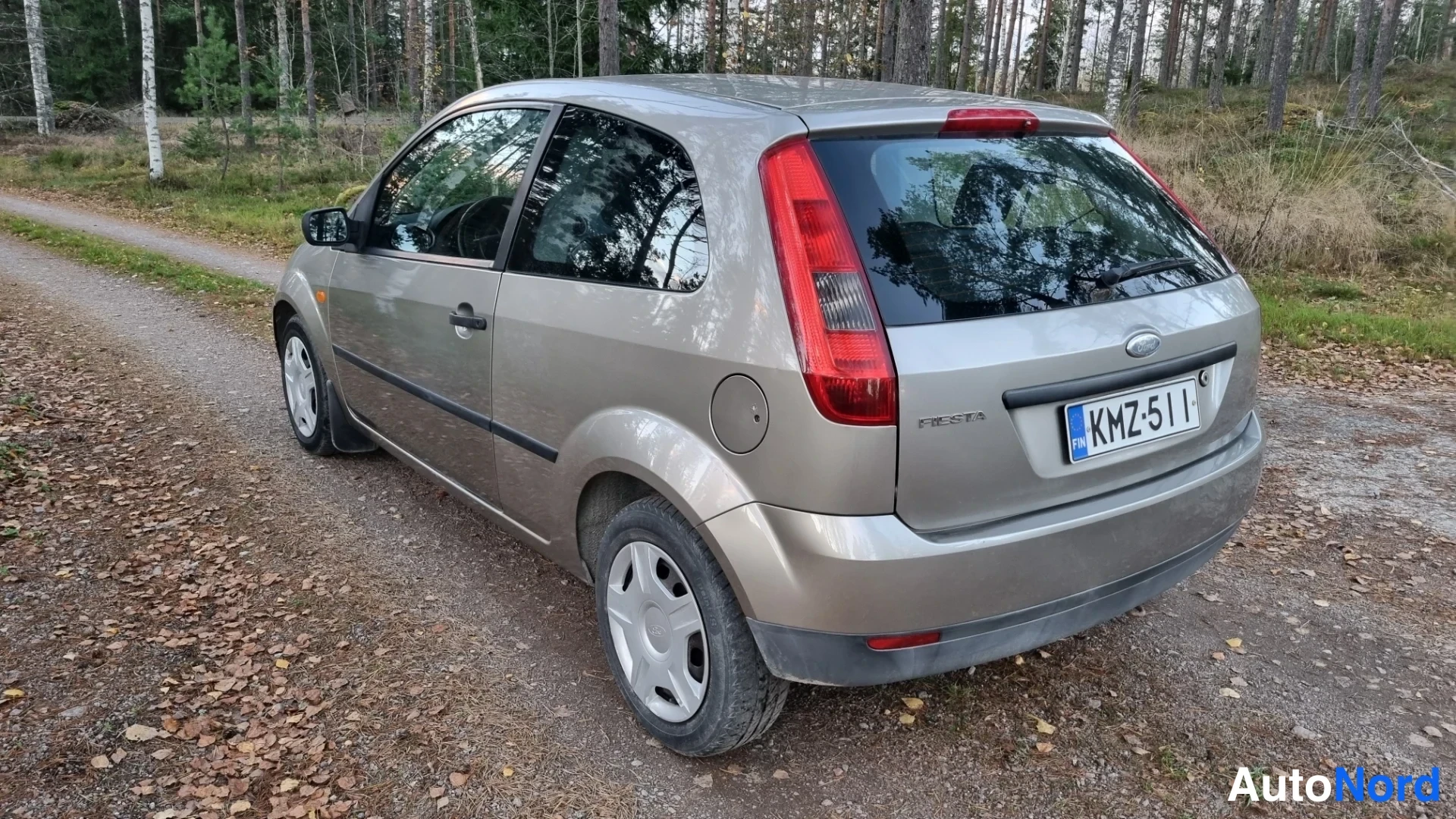 Harmaa Ford Fiesta 2004, takaviisto, kuva 6
