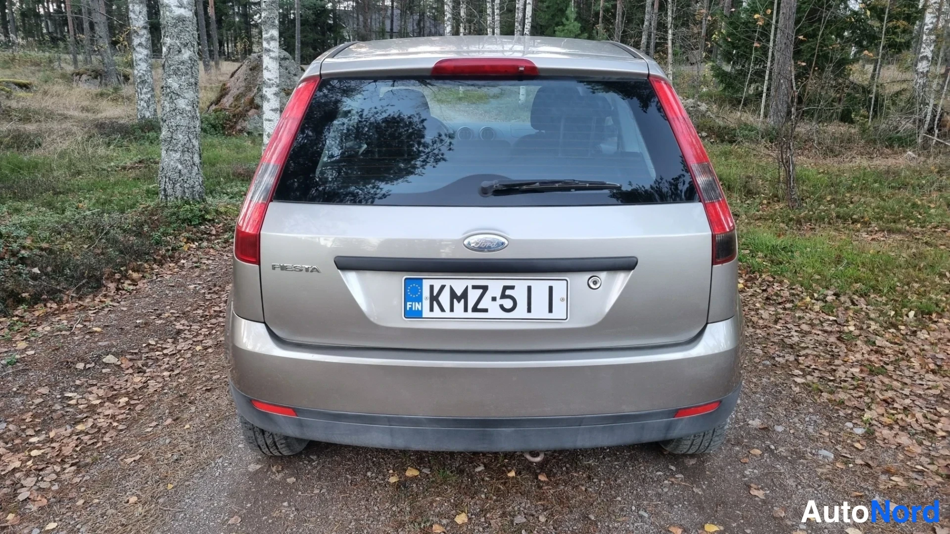 Harmaa Ford Fiesta 2004, takaa, kuva 8