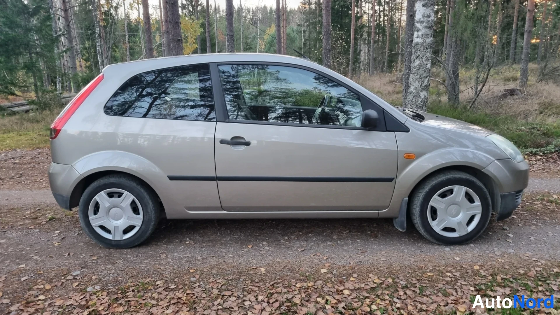 Harmaa Ford Fiesta 2004, sivulta, kuva 5