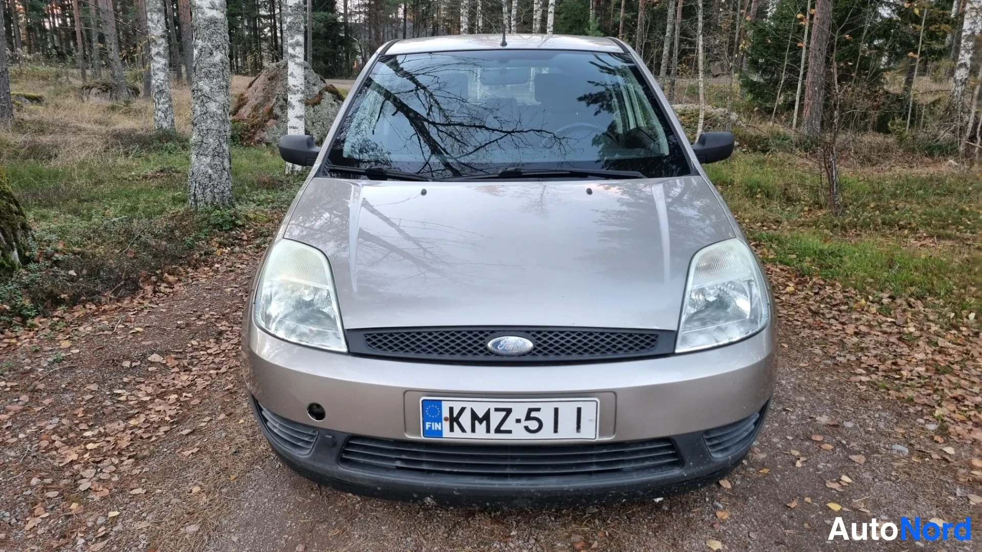 Harmaa Ford Fiesta 2004, edestä, kuva 3
