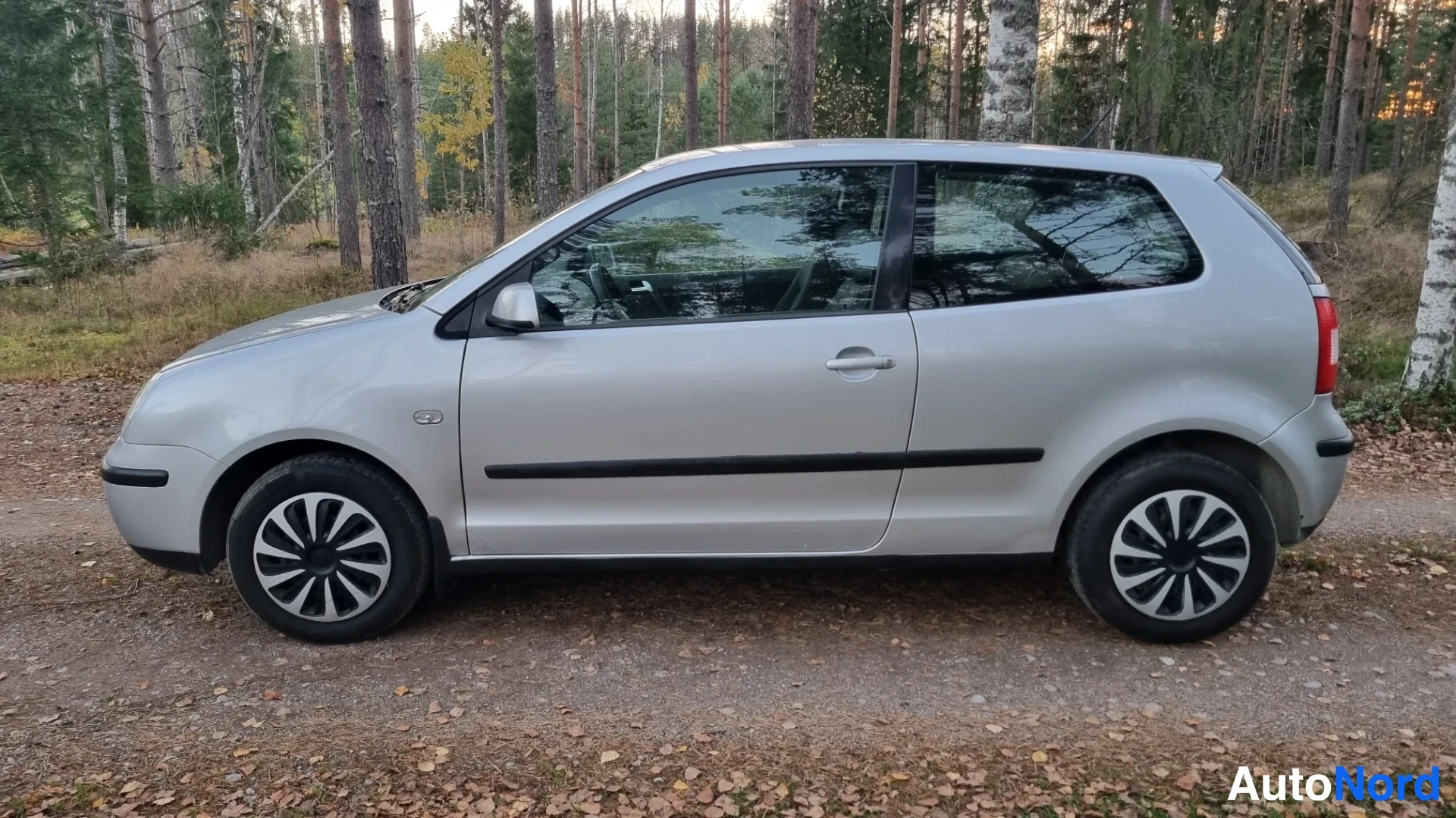 Harmaa Volkswagen Polo 2003, sivulta, kuva 5