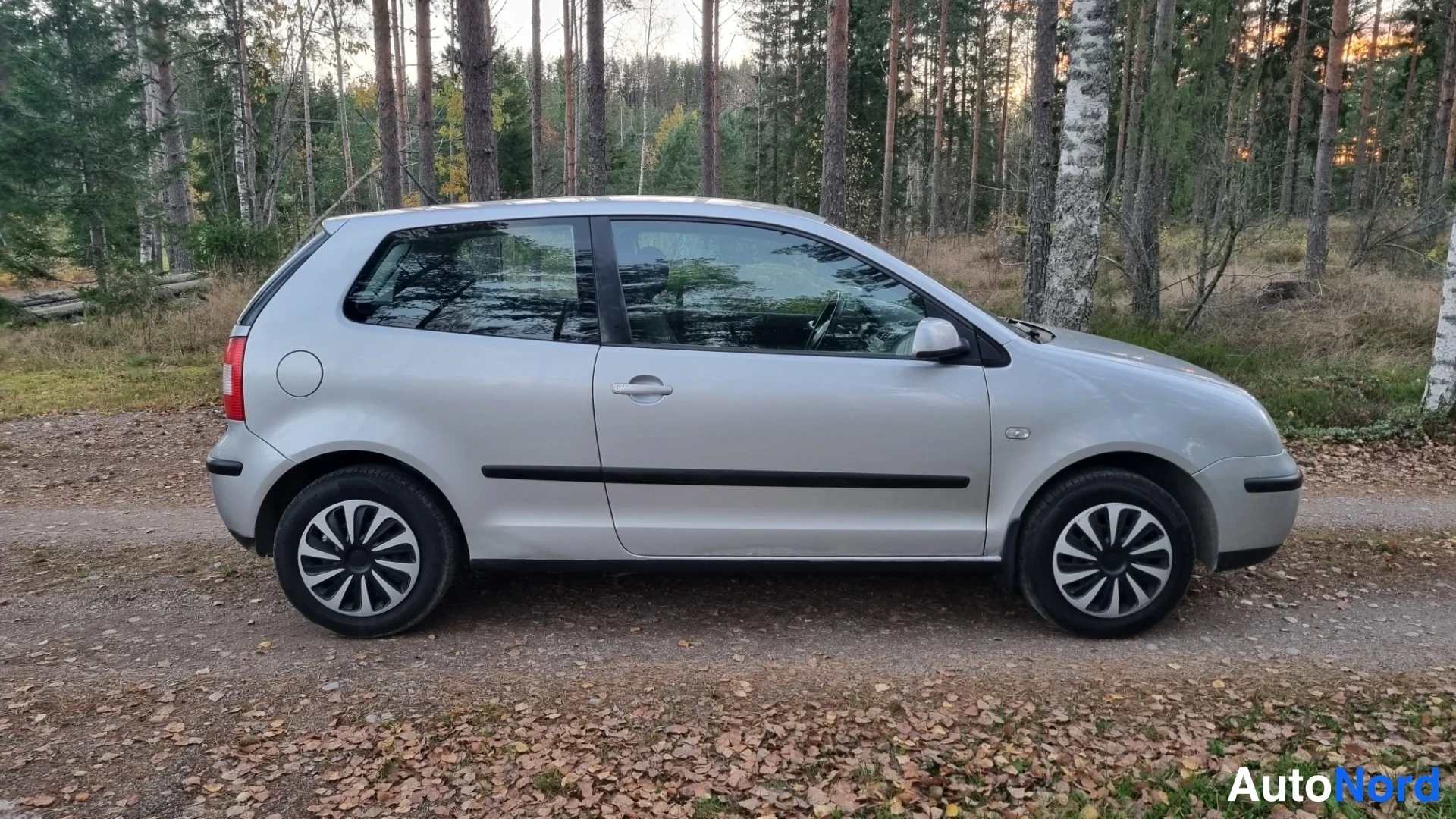 Harmaa Volkswagen Polo 2003, sivulta, kuva 4