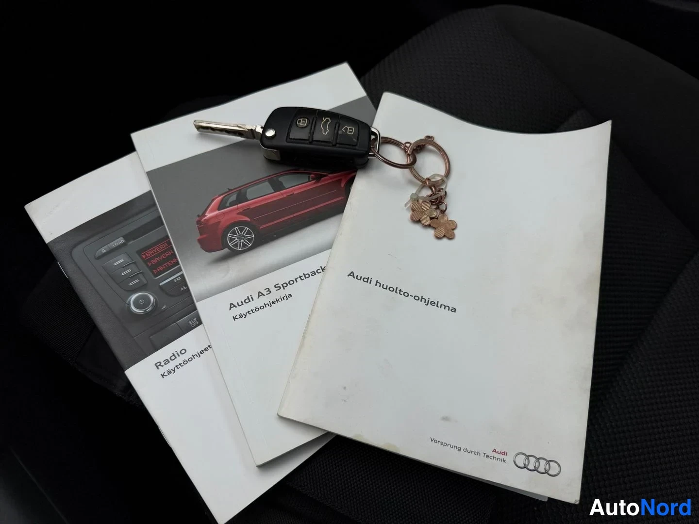 Harmaa Audi A3 2012, asiakirja, kuva 12