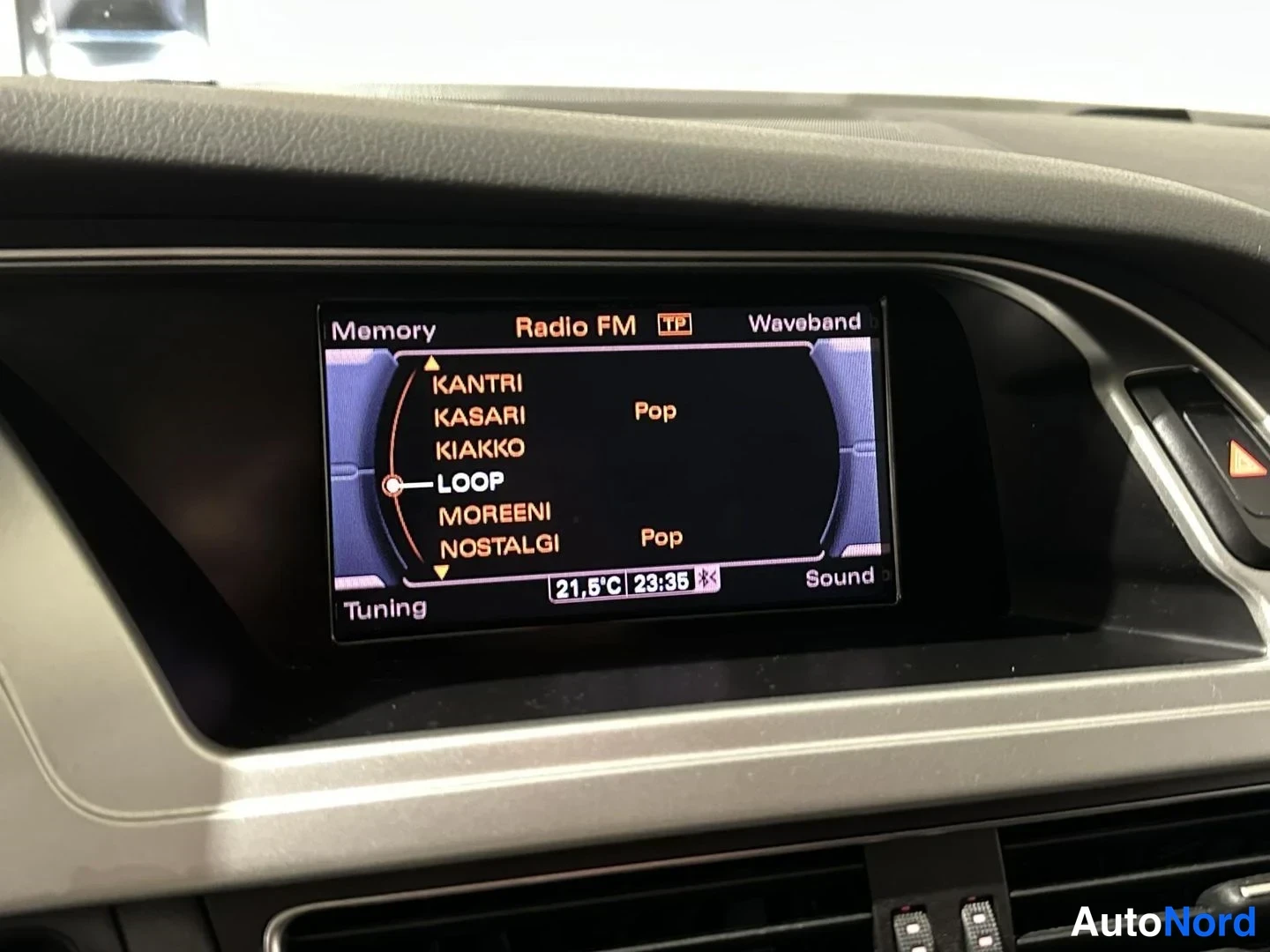 Hopea Audi S4 2011, yksityiskohta, kuva 13
