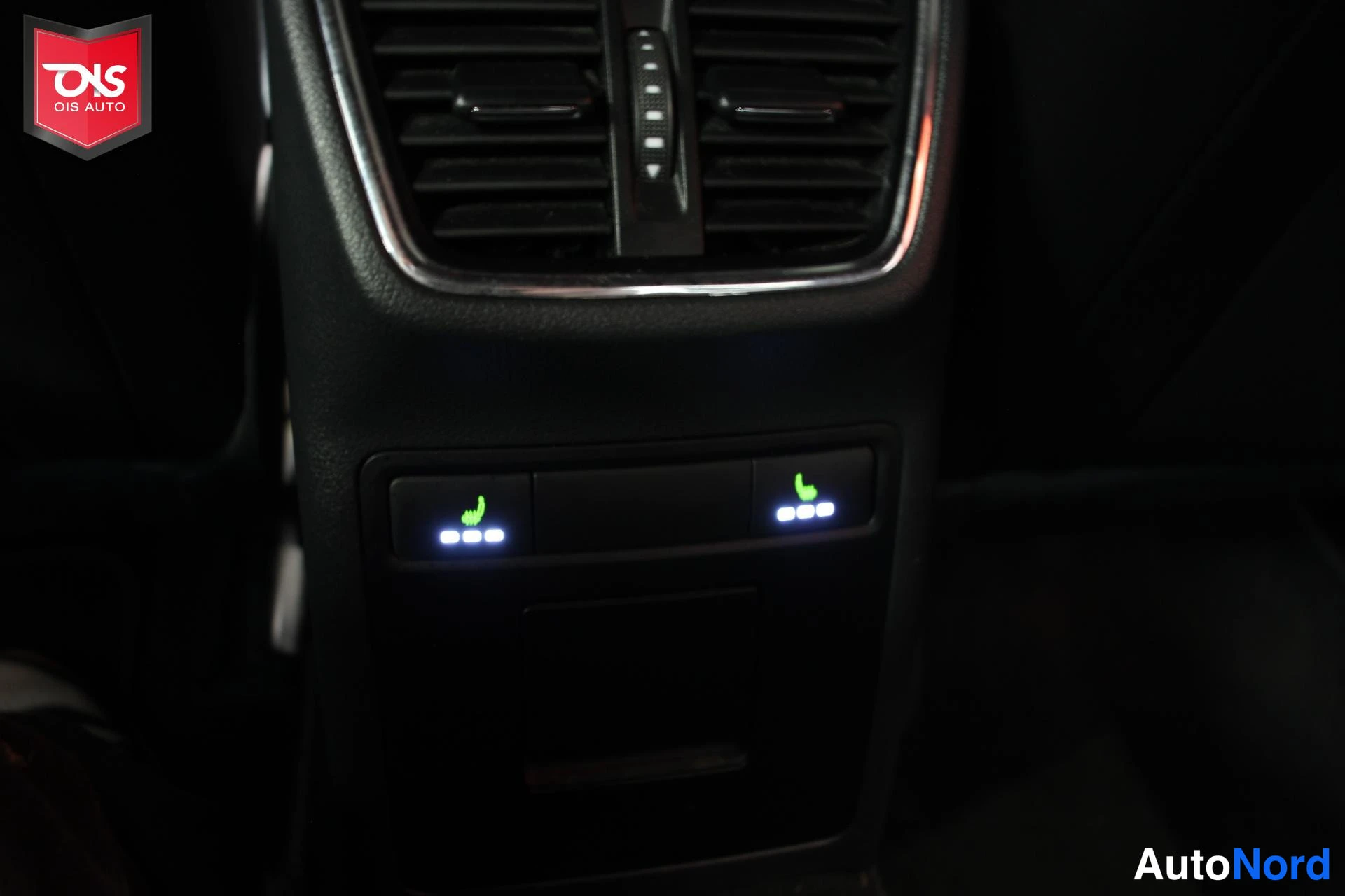 Sininen Skoda Octavia RS 2015, yksityiskohta, kuva 19
