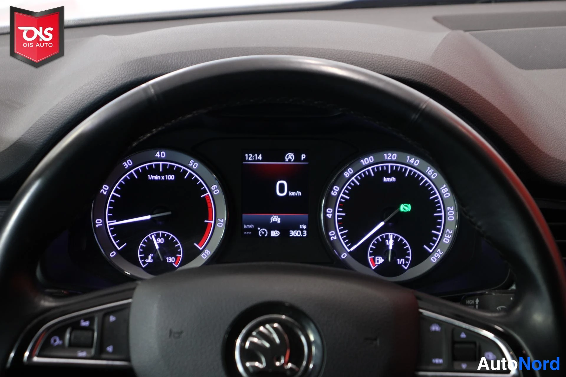 Valkoinen Skoda Kodiaq 2020, yksityiskohta, kuva 18
