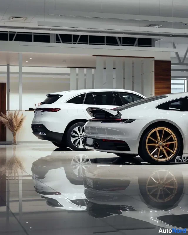 Valkoinen Audi Coupé 2020, takaviisto, kuva 2