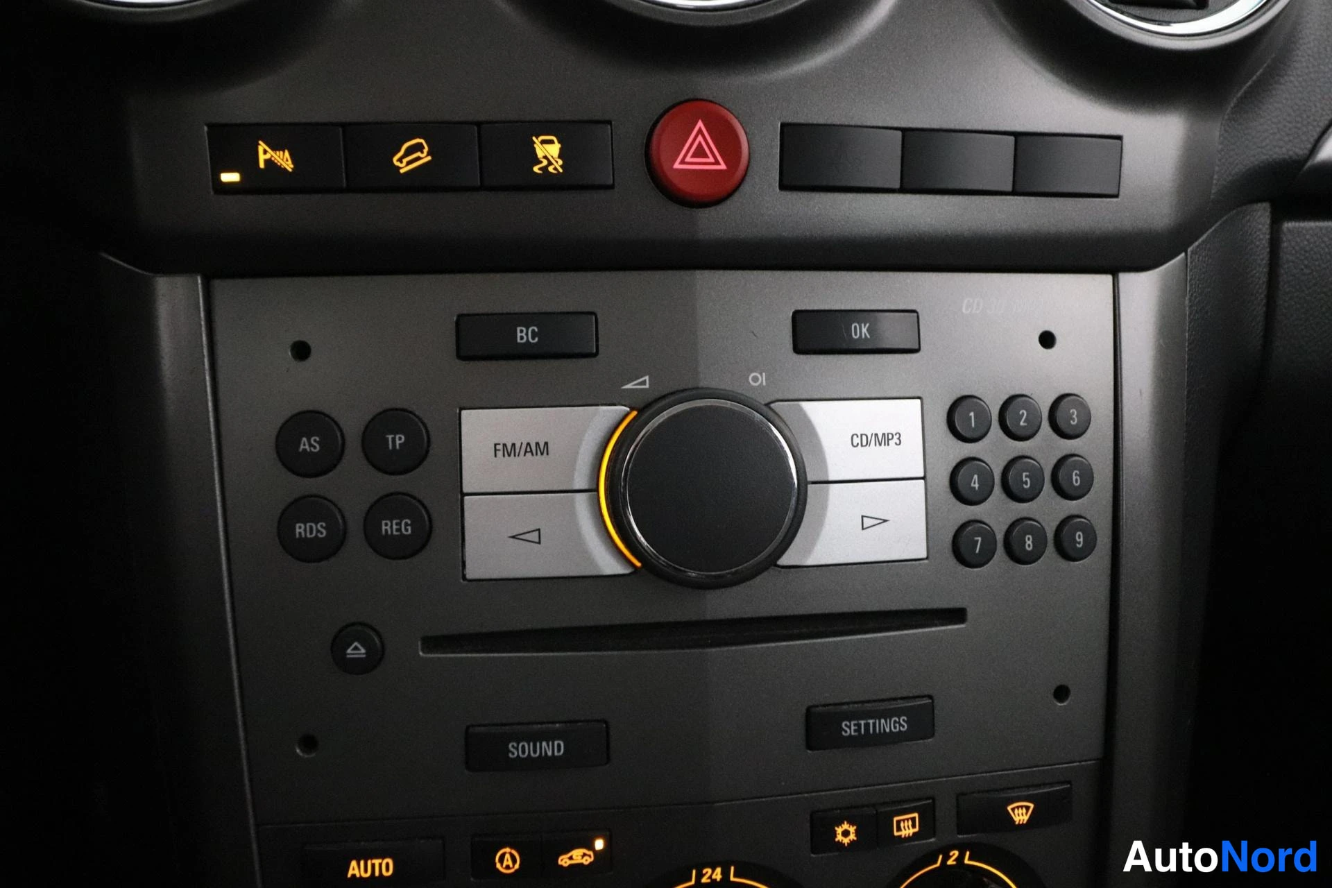 Hopea Opel Antara 2007, yksityiskohta, kuva 19