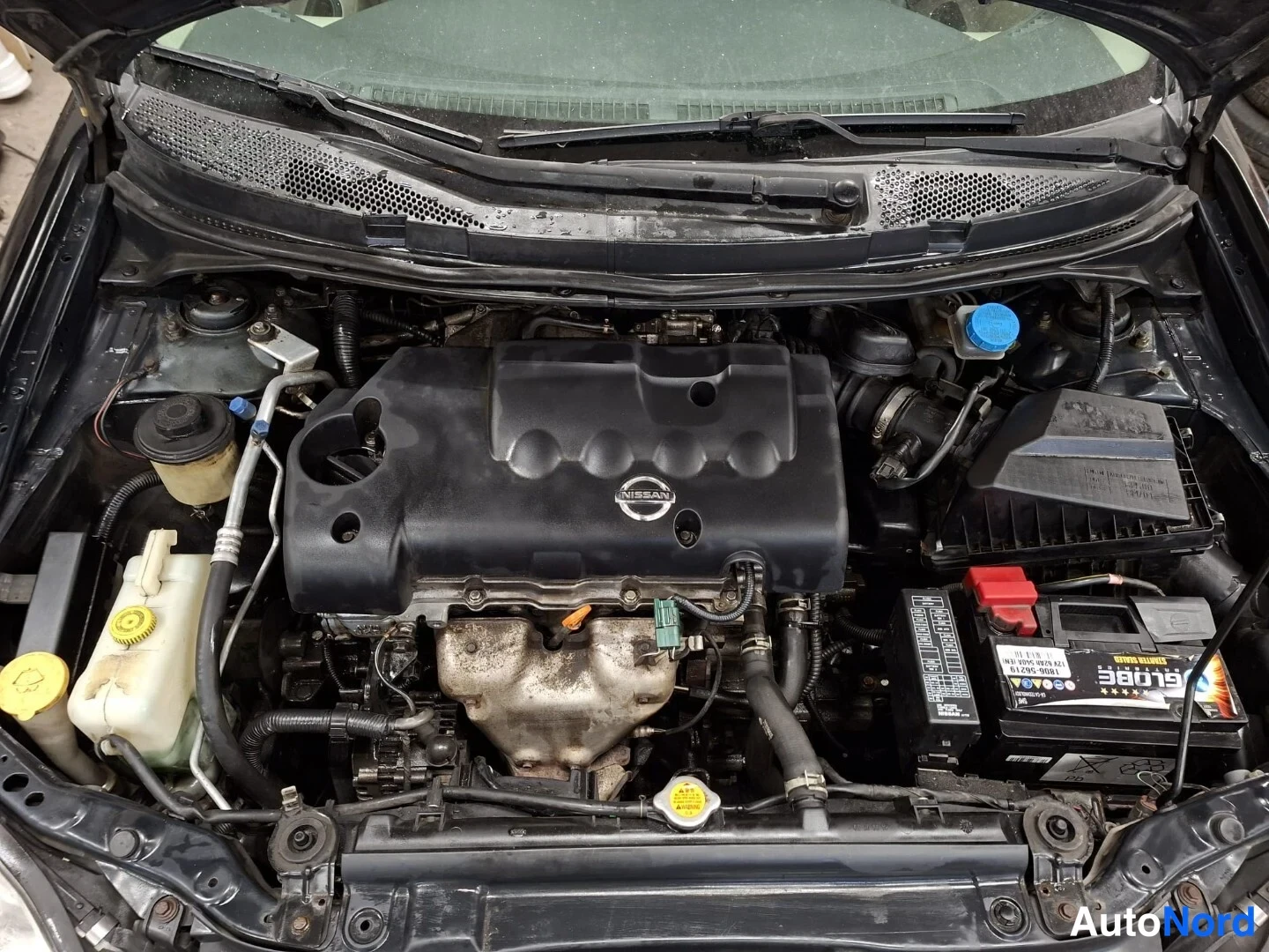 Musta Nissan Primera 2004, moottoritila, kuva 18
