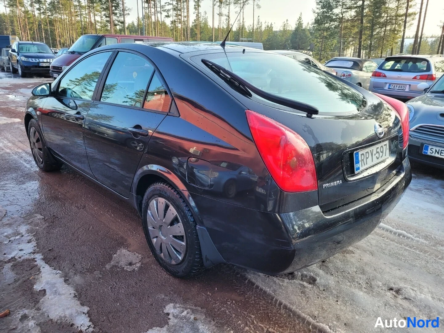 Musta Nissan Primera 2004, takaviisto, kuva 8