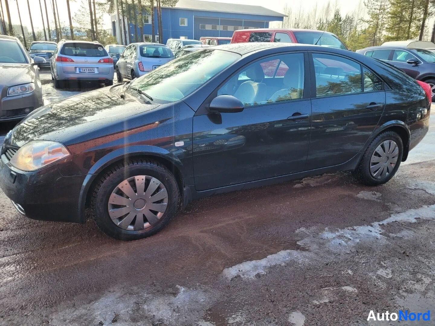 Musta Nissan Primera 2004, etuviisto, keula vasemmalle, kuva 3
