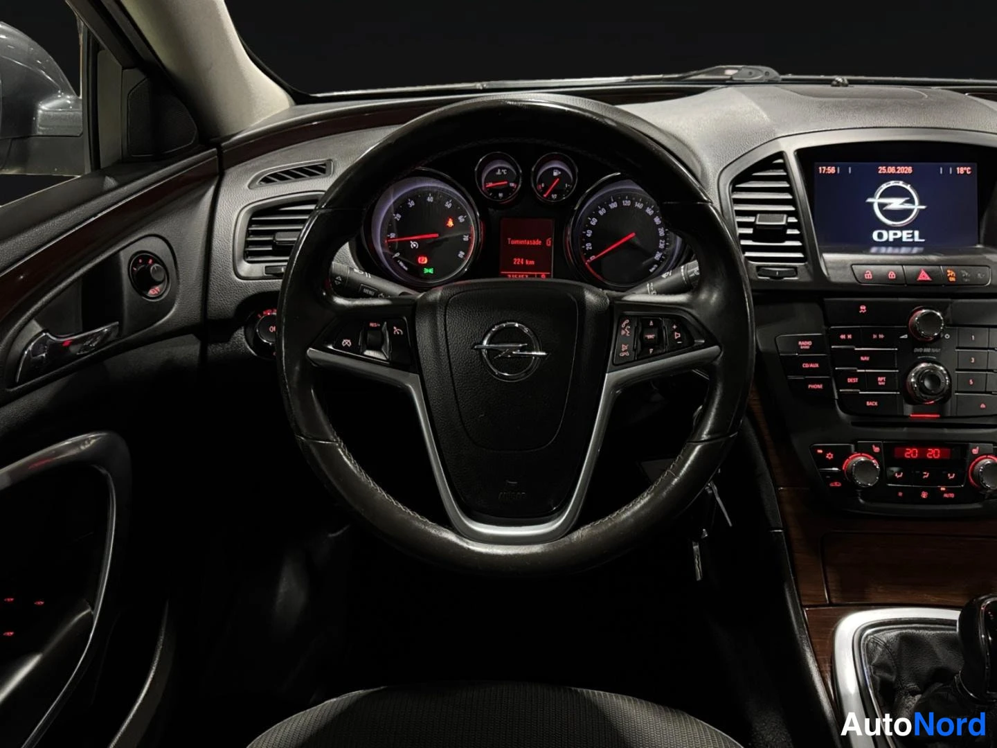 Harmaa Opel Insignia 2009, yksityiskohta, kuva 14