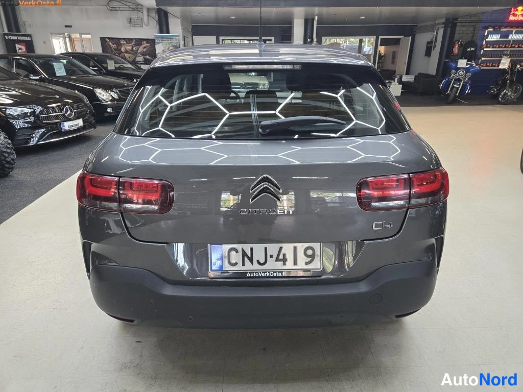 Harmaa Citroen C4 Cactus 2019, takaa, kuva 6