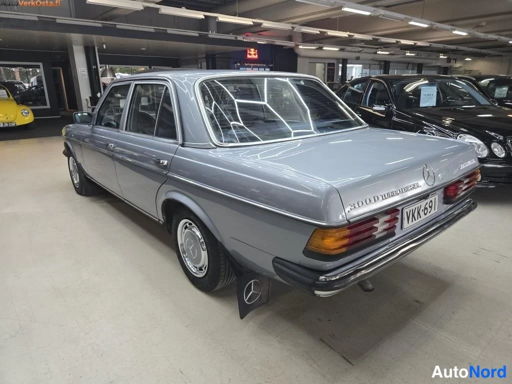 Sininen Mercedes-Benz 300 300D W123 1980, takaviisto, kuva 8