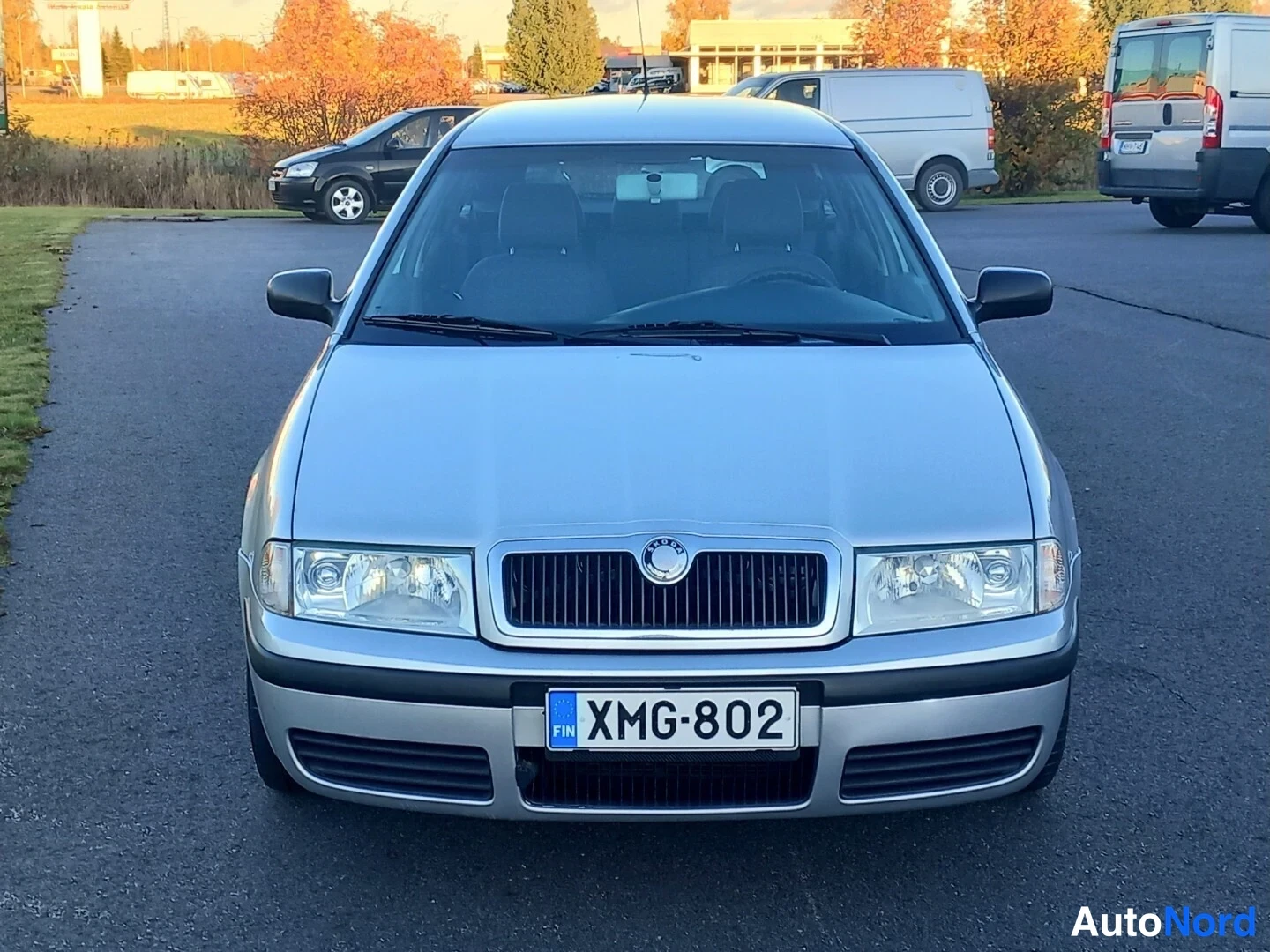 Hopea Skoda Octavia 2001, edestä, kuva 8