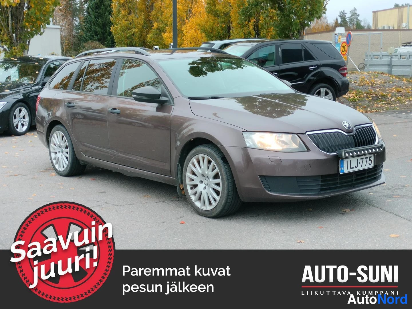 Ruskea Skoda Octavia 2013, etuviisto, keula oikealle, kuva 2