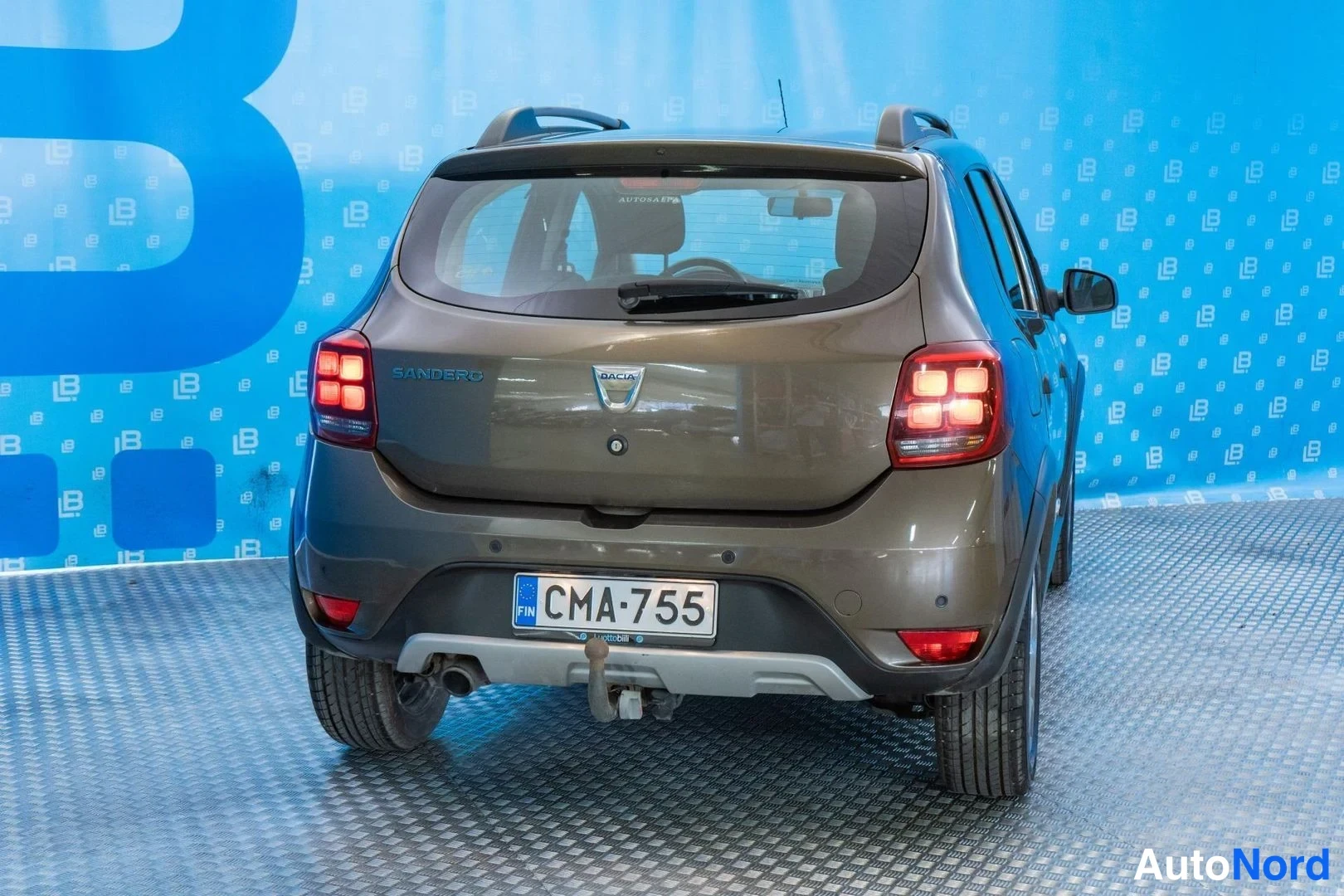 Brown Dacia Sandero Stepway 2019, rear, photo 6
