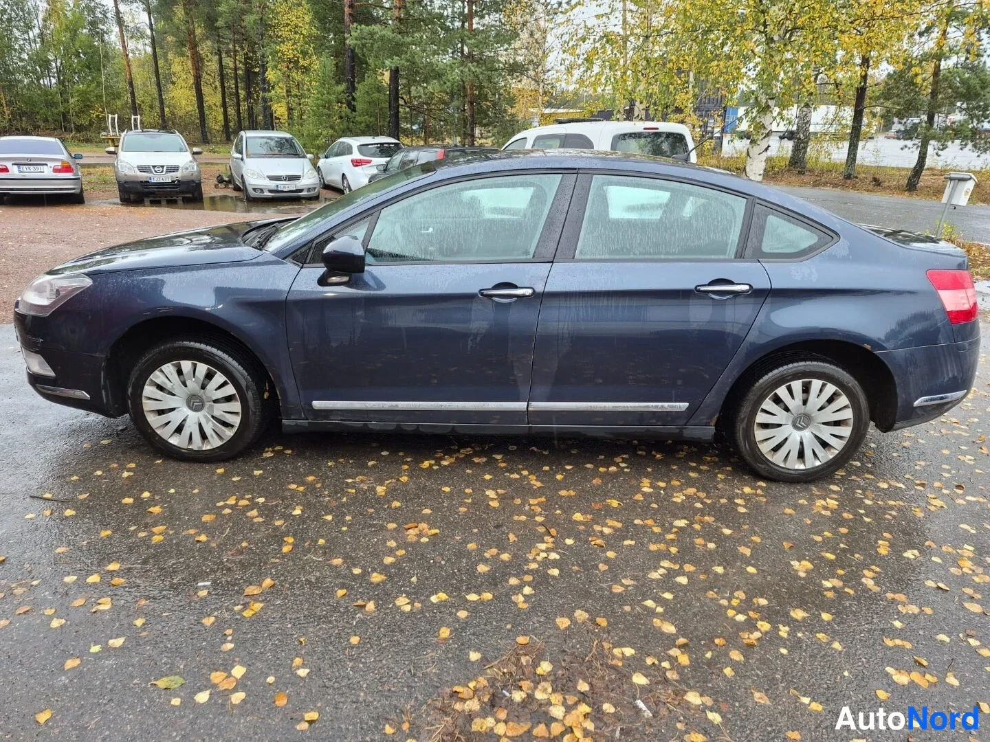 Sininen Citroen C5 2008, etuviisto, keula vasemmalle, kuva 2