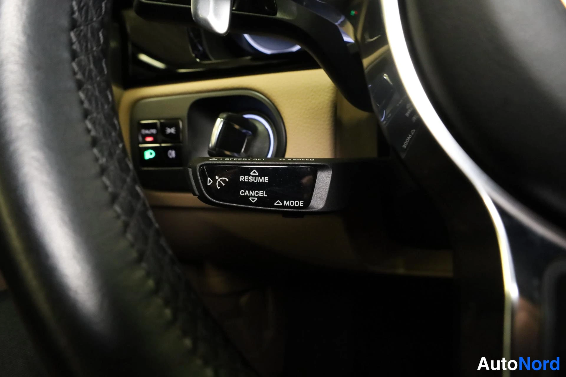 Beige Porsche Cayenne 2019, yksityiskohta, kuva 15