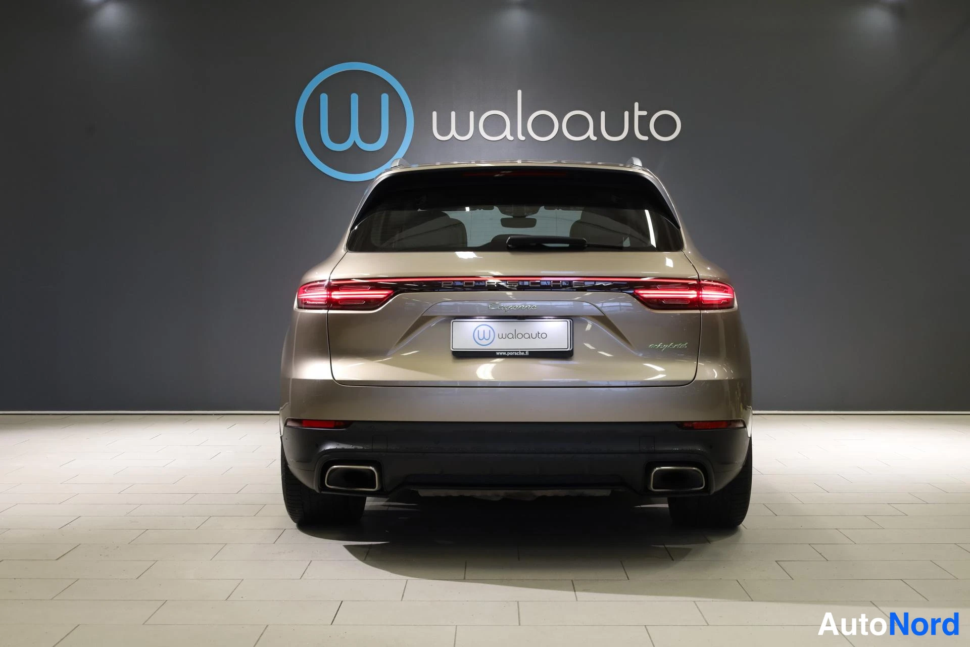Beige Porsche Cayenne 2019, takaa, kuva 8