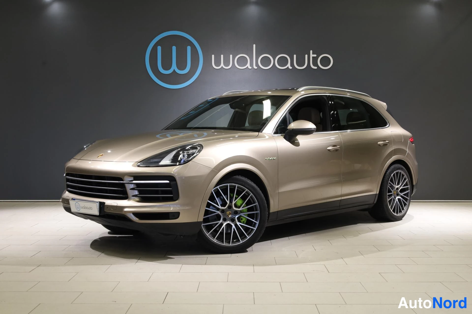 Porsche Cayenne E-Hybrid 2019