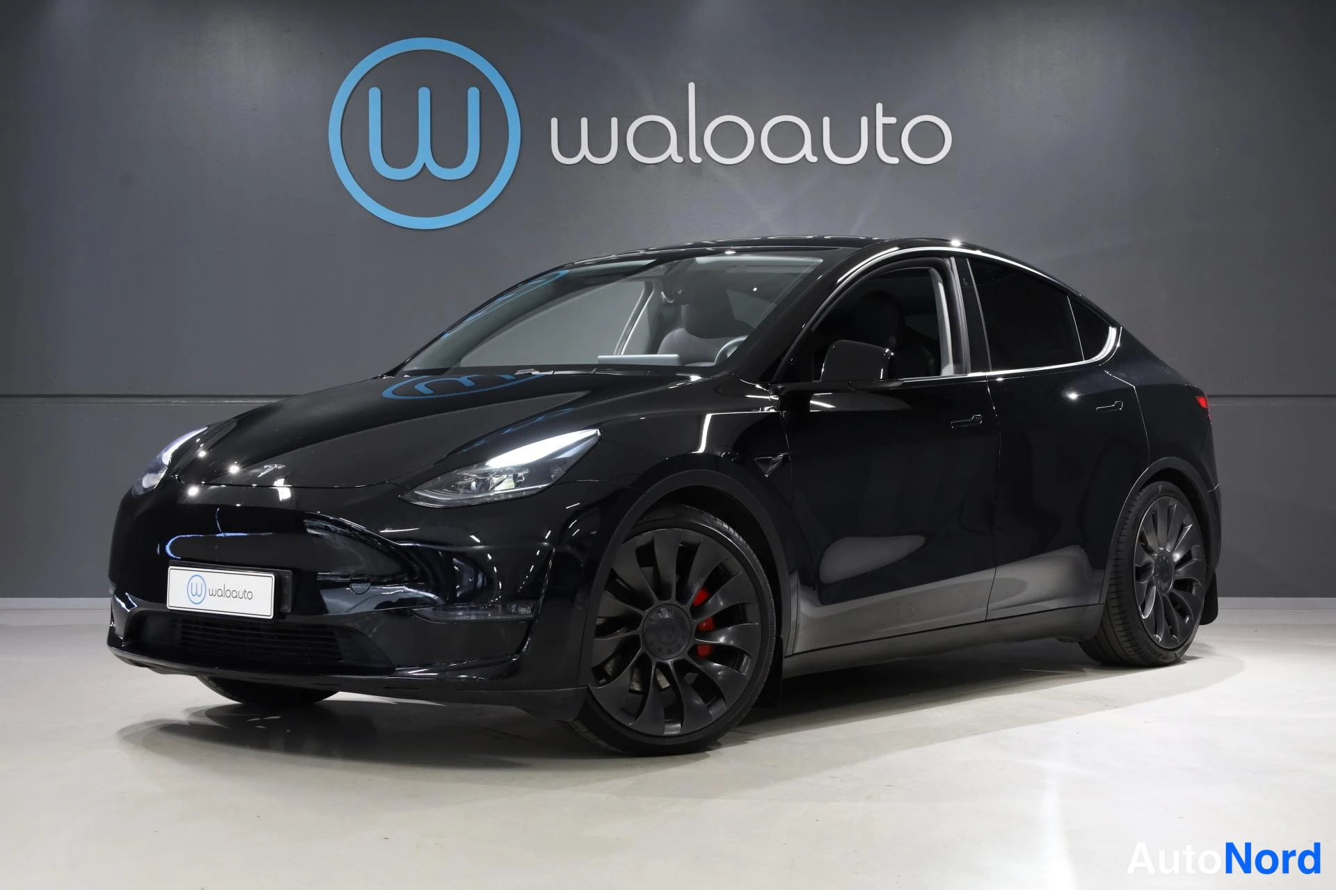 Tesla Model Y Performance AWD 2023