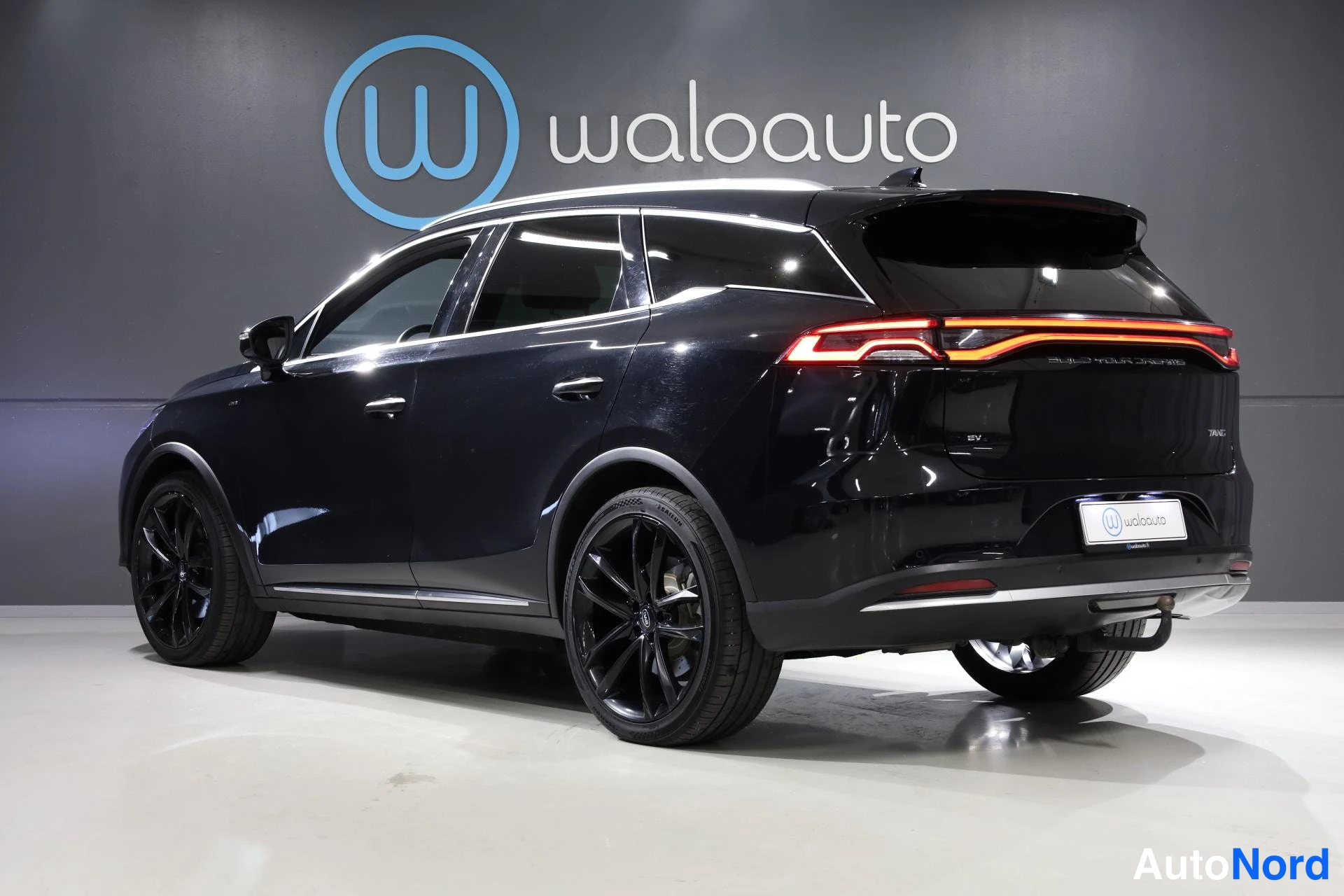Musta BYD Tang 2023, takaviisto, kuva 6