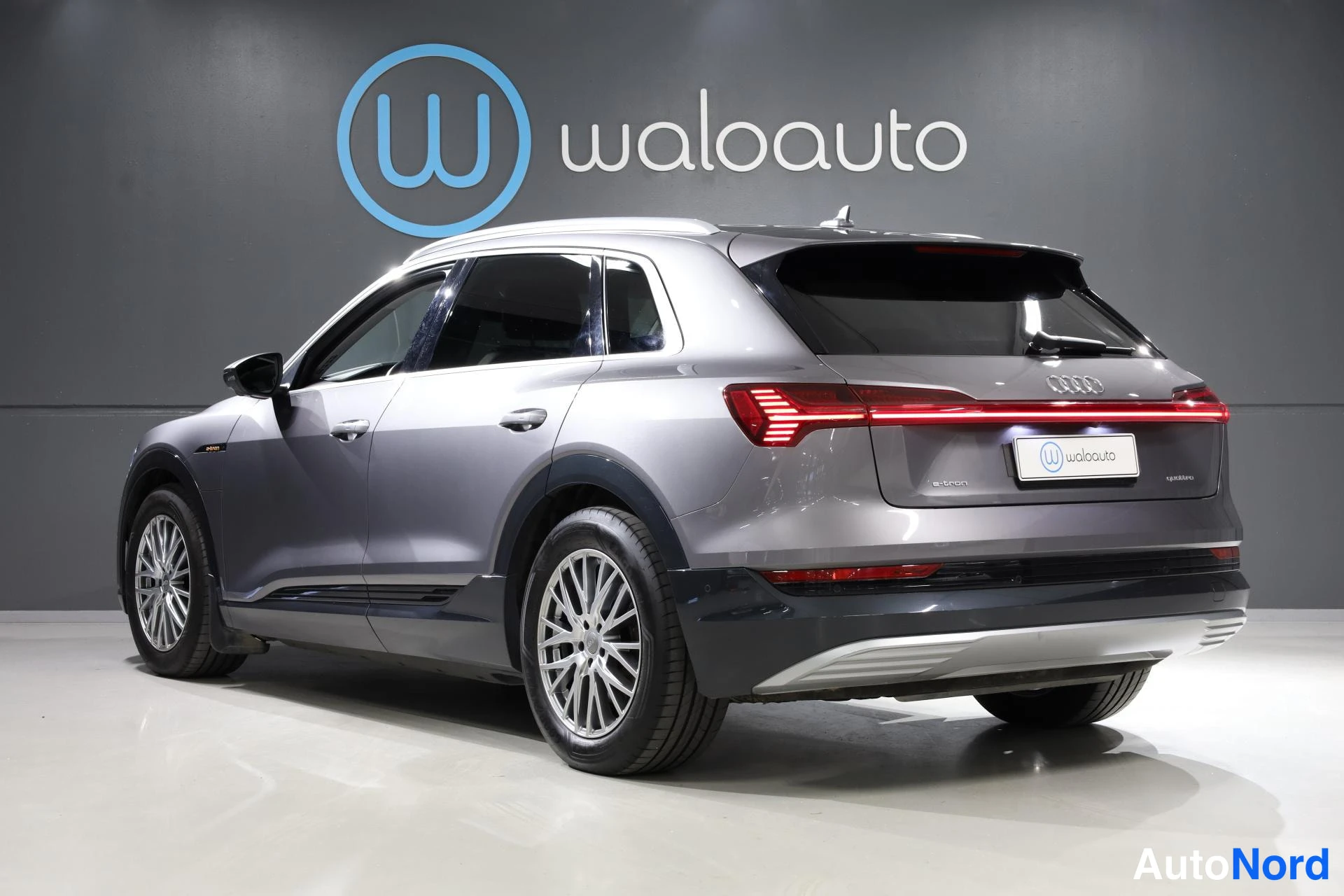 Harmaa Audi e-tron 2021, takaviisto, kuva 6
