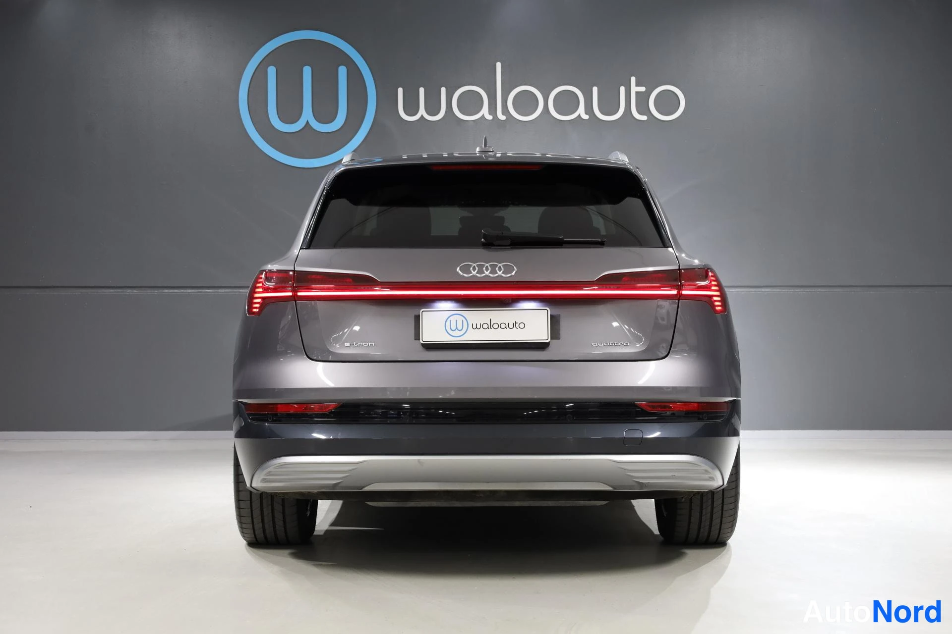 Harmaa Audi e-tron 2021, takaa, kuva 8