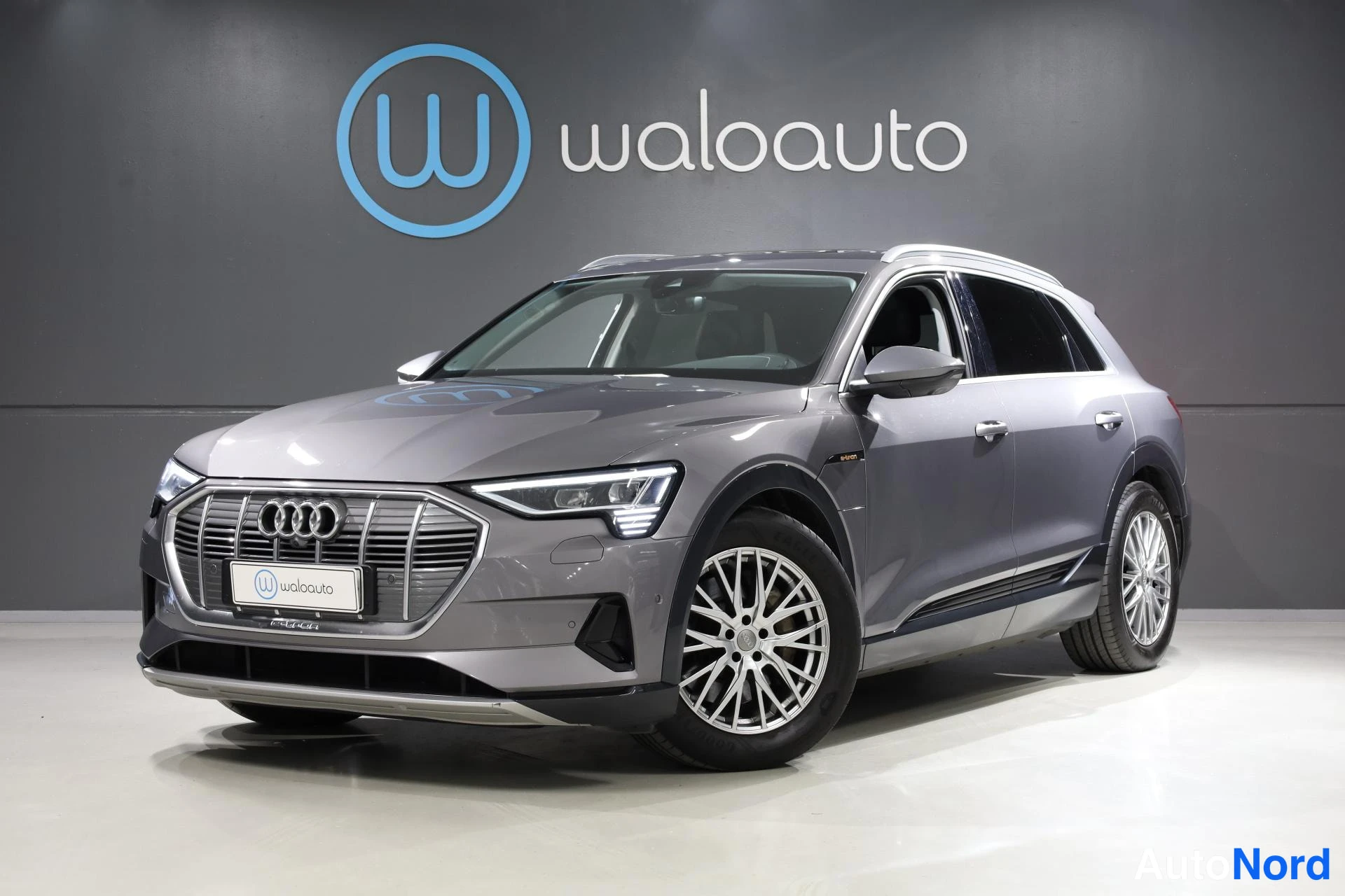 Audi e-tron 55 quattro 408 hv 2021