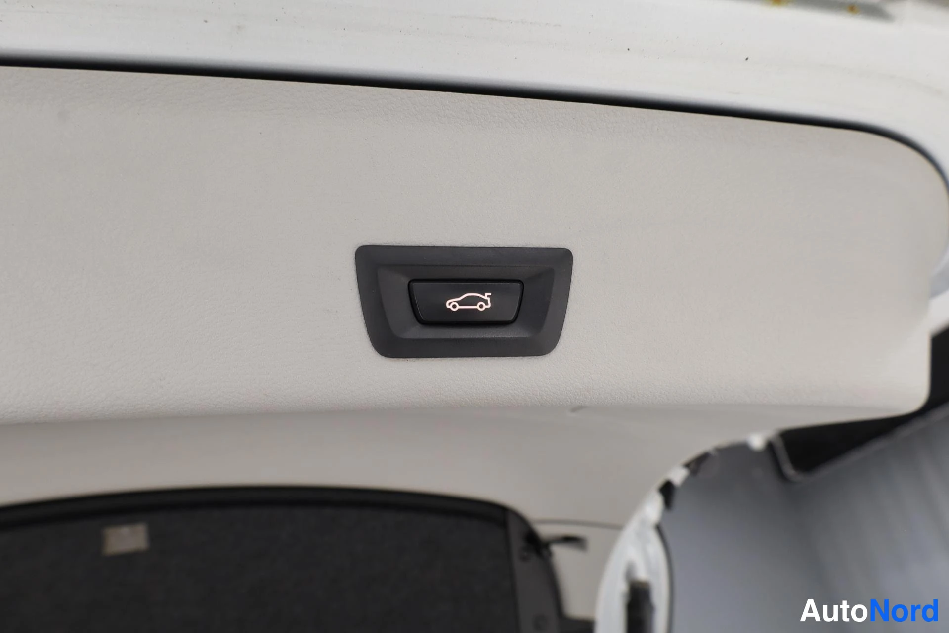 Hopea BMW X4 2015, yksityiskohta, kuva 20