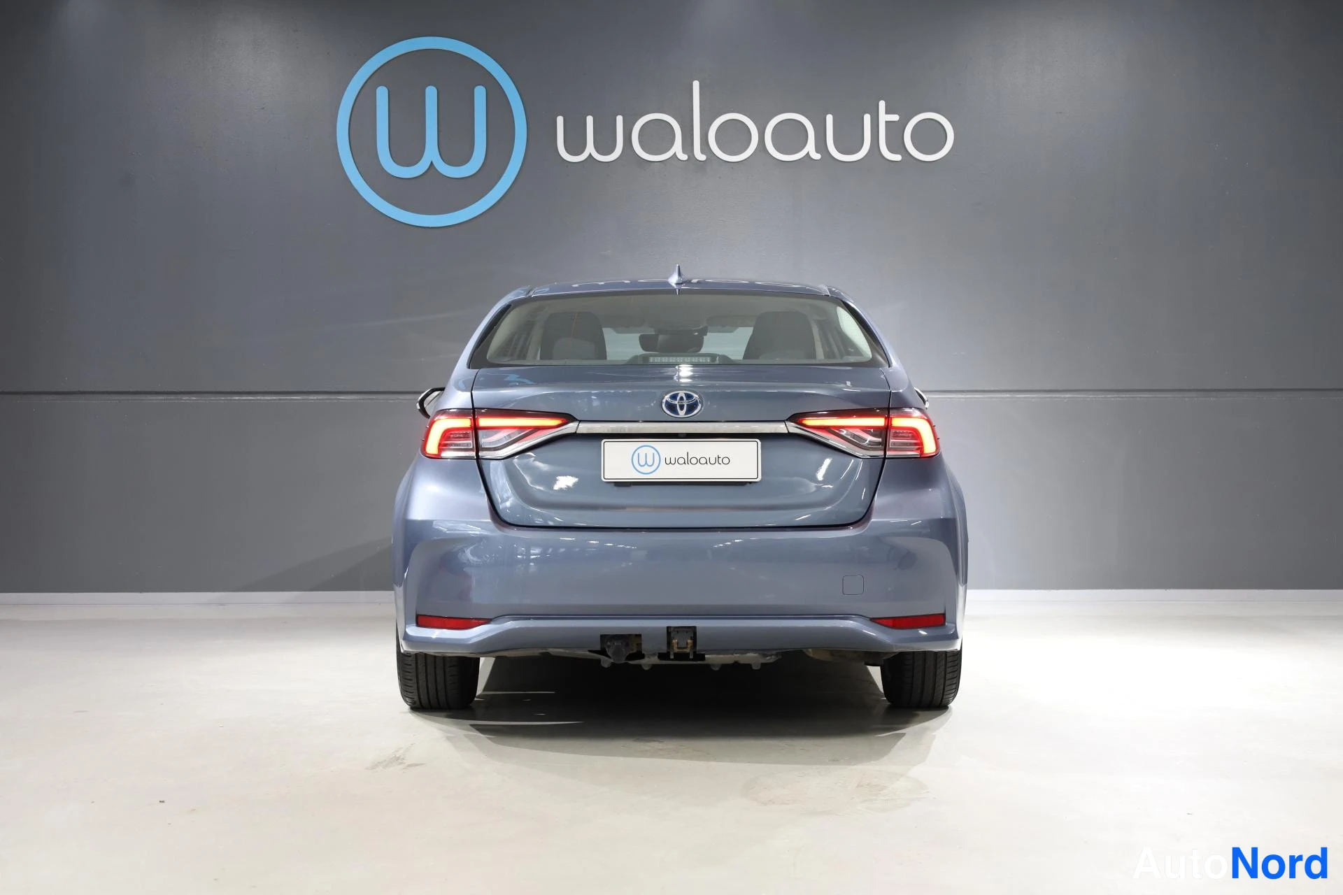 Hopea Toyota Corolla 2019, takaa, kuva 8
