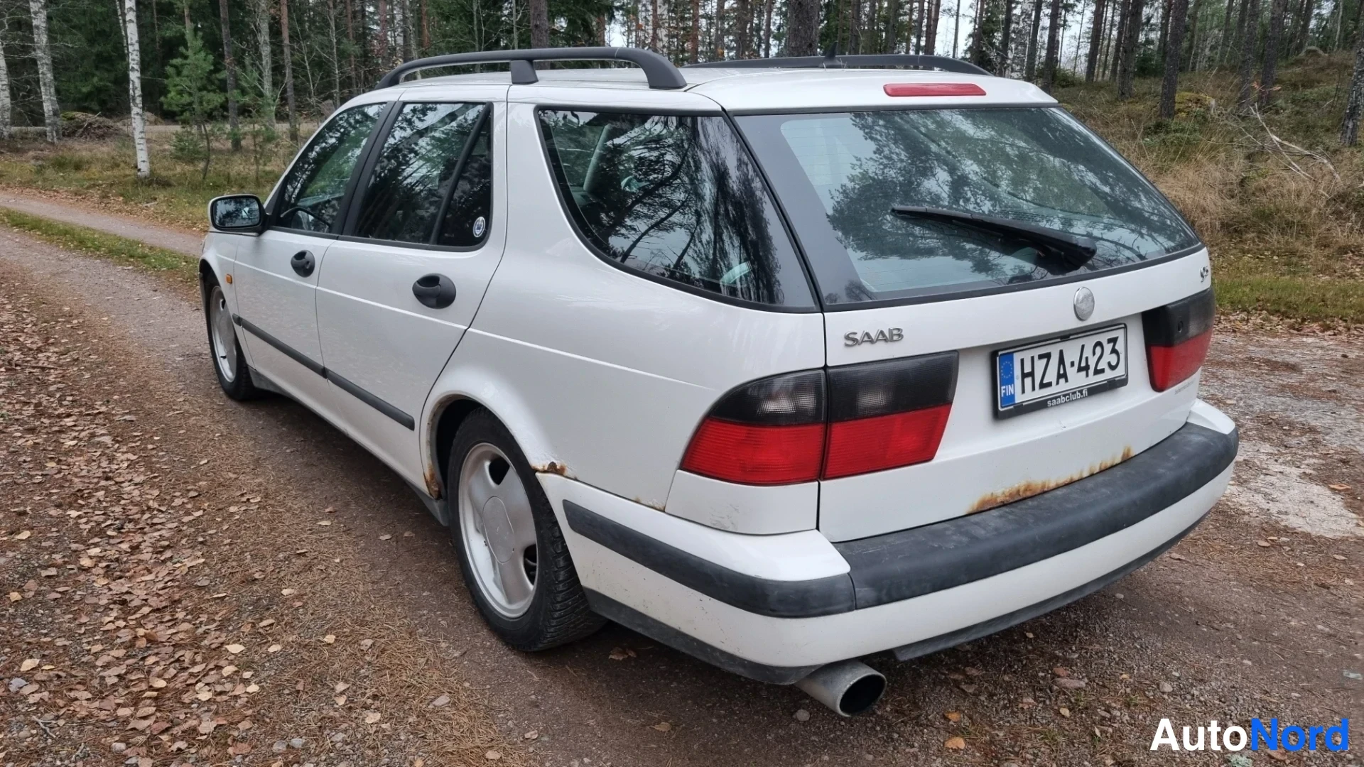 Valkoinen Saab 9-5 2001, takaviisto, kuva 6